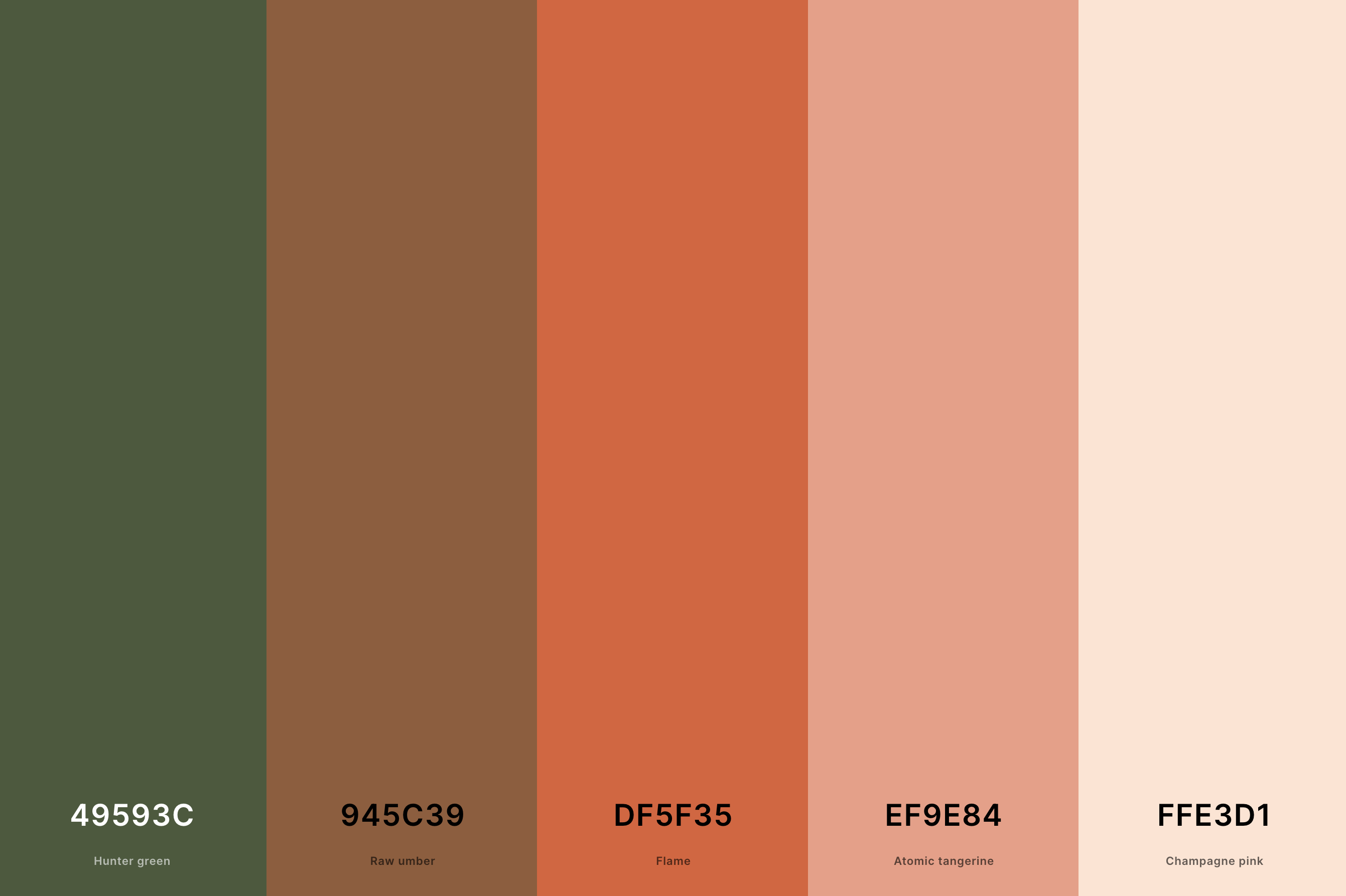 19. Fall Color Palette Aesthetic Color Palette with Hunter Green (Hex #49593C) + Raw Umber (Hex #945C39) + Flame (Hex #DF5F35) + Atomic Tangerine (Hex #EF9E84) + Champagne Pink (Hex #FFE3D1) Color Palette with Hex Codes