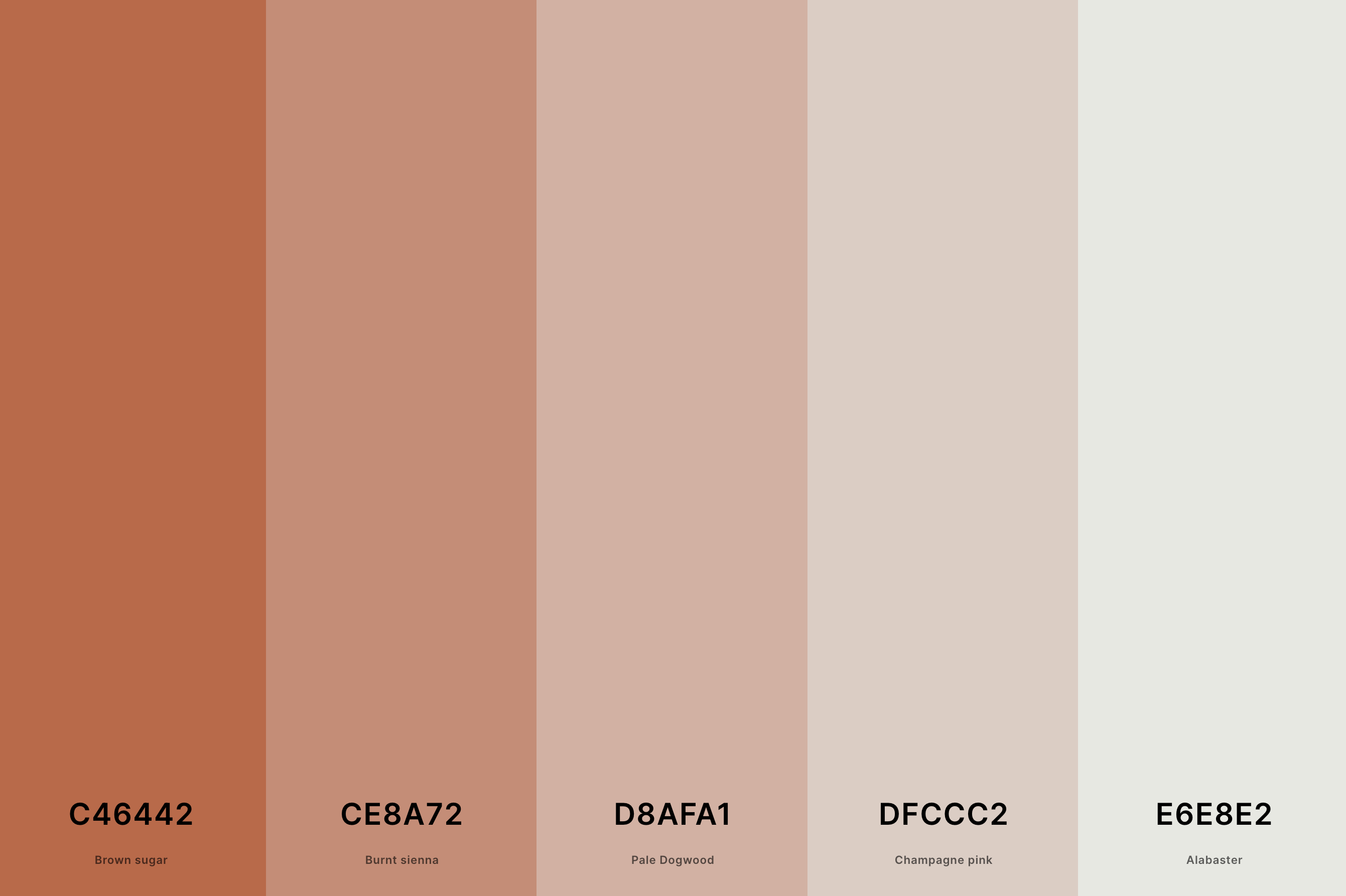 19. Light Terracotta Color Palette Color Palette with Brown Sugar (Hex #C46442) + Burnt Sienna (Hex #CE8A72) + Pale Dogwood (Hex #D8AFA1) + Champagne Pink (Hex #DFCCC2) + Alabaster (Hex #E6E8E2) Color Palette with Hex Codes