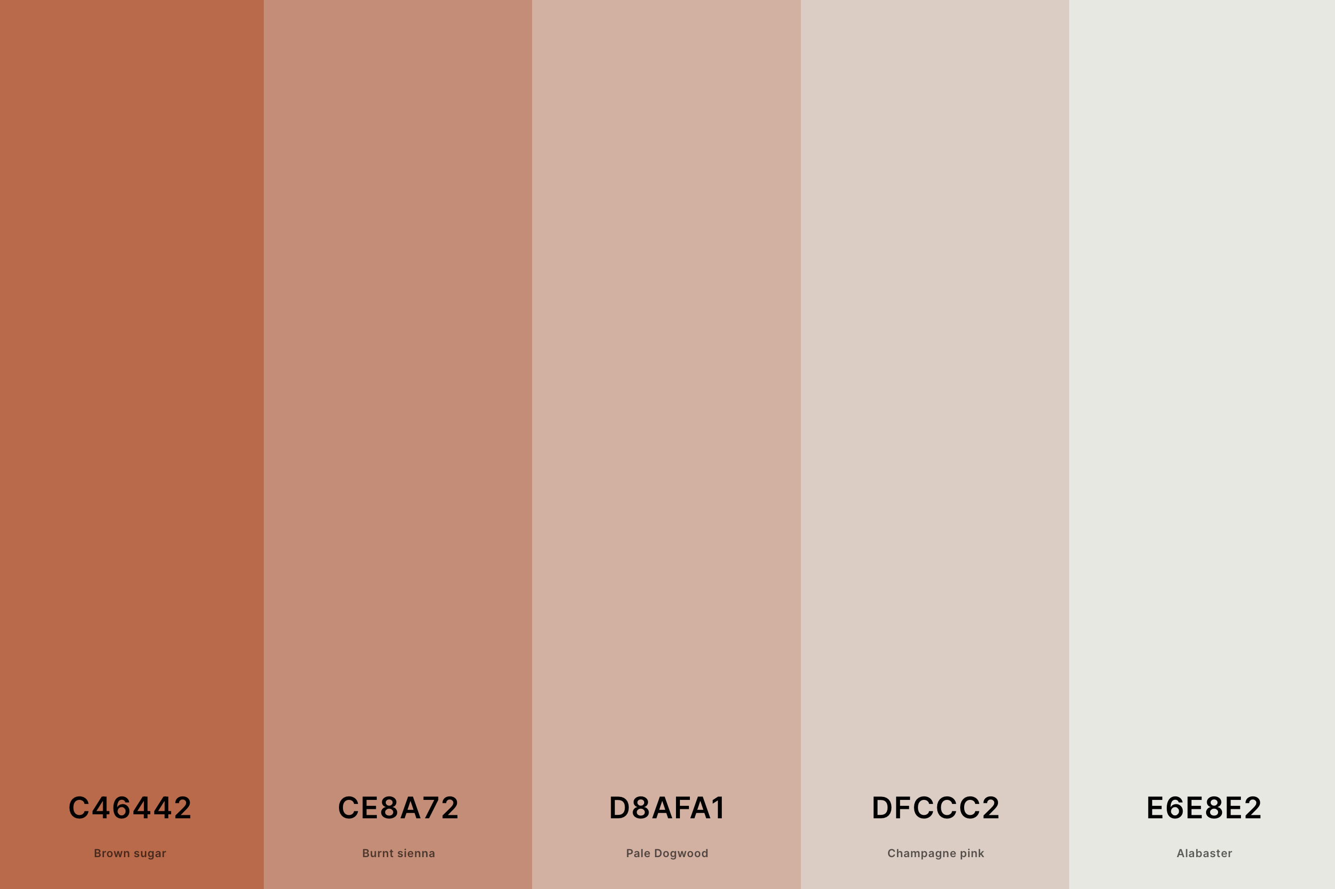 20+ Best Terracotta Color Palettes with Names and Hex Codes –  CreativeBooster