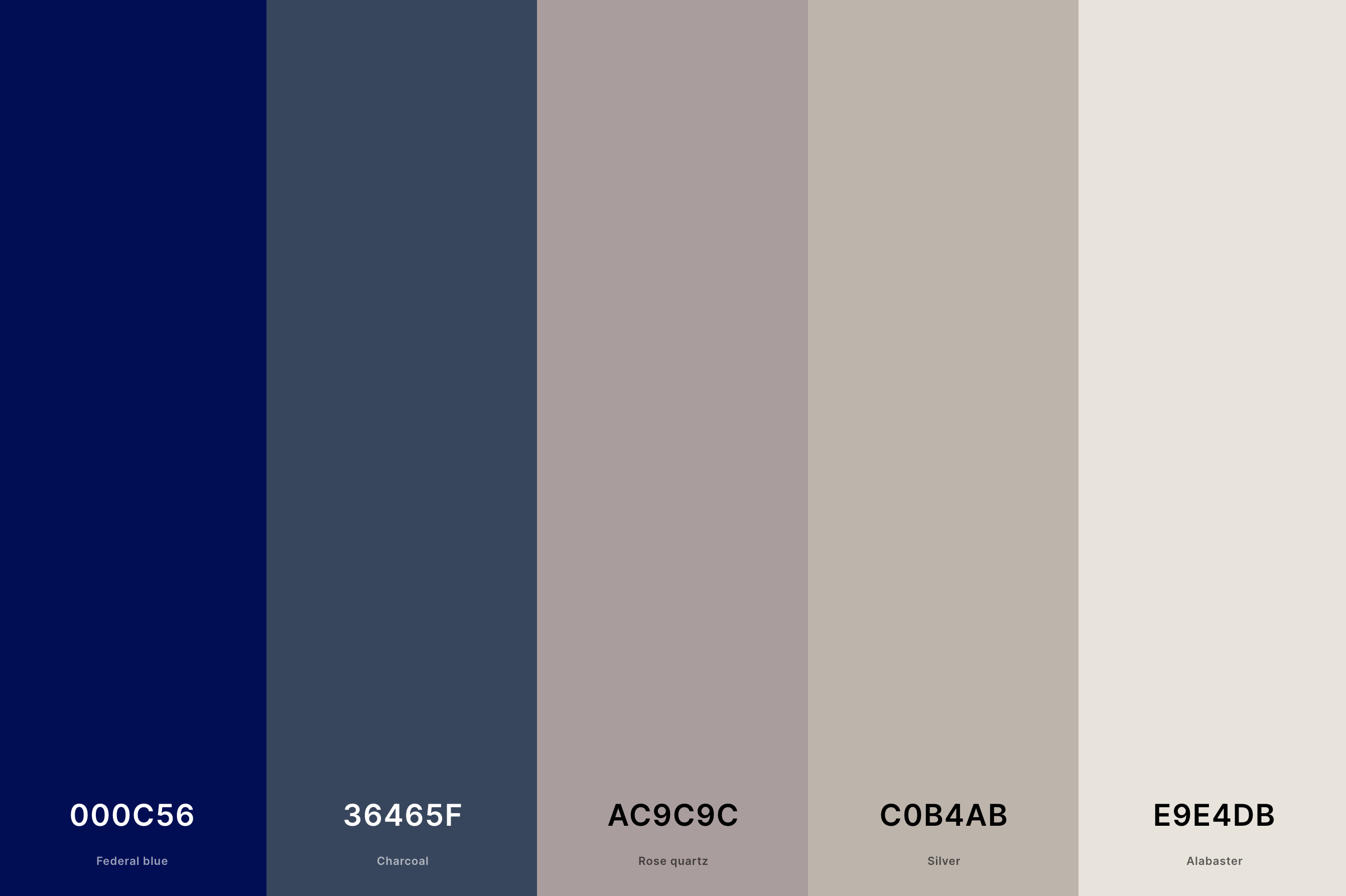 19. Neutral Summer Color Palette Color Palette with Federal Blue (Hex #000C56) + Charcoal (Hex #36465F) + Rose Quartz (Hex #AC9C9C) + Silver (Hex #C0B4AB) + Alabaster (Hex #E9E4DB) Color Palette with Hex Codes