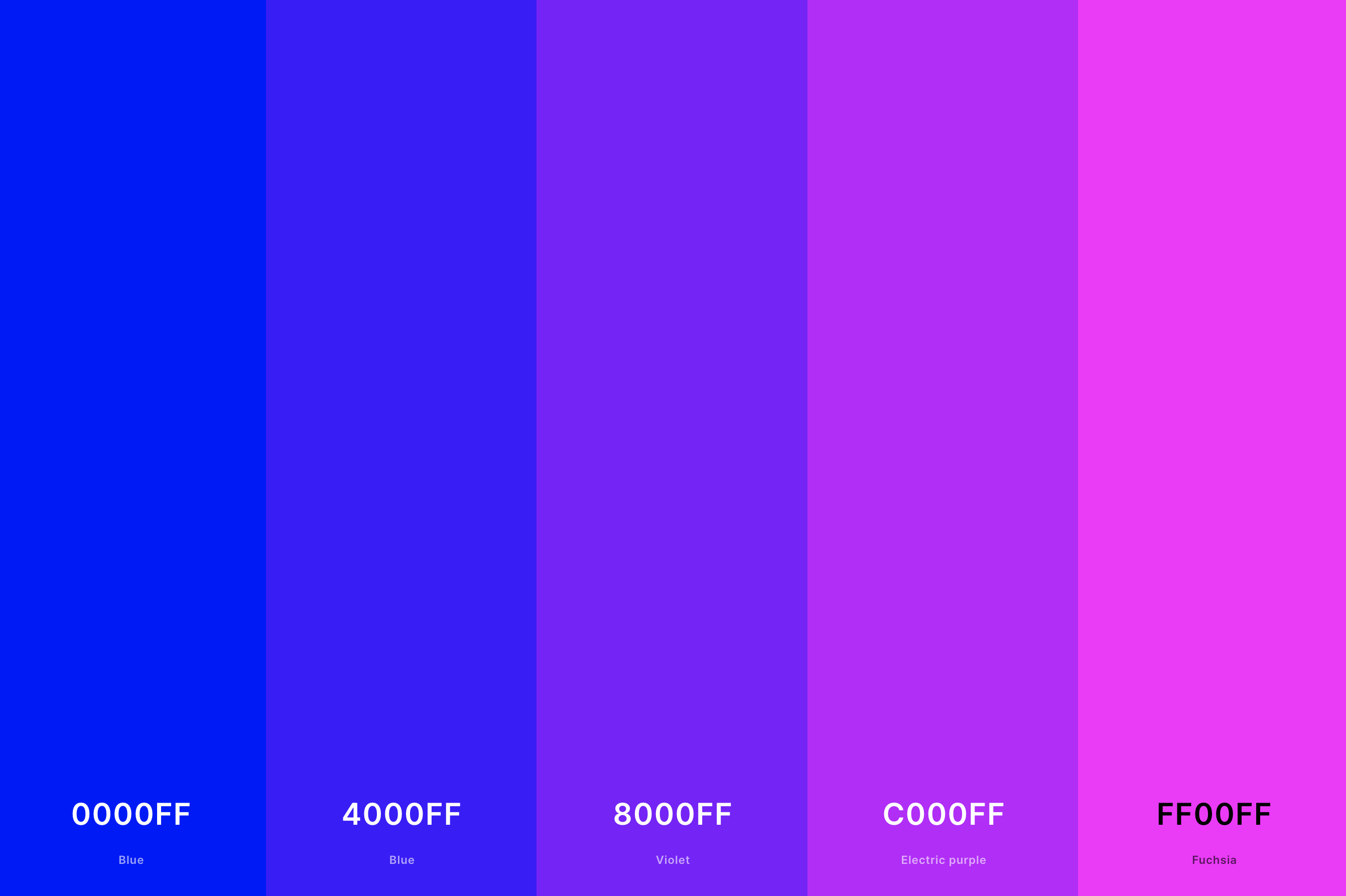 2. Blue And Magenta Color Palette Color Palette with Blue (Hex #0000FF) + Blue (Hex #4000FF) + Violet (Hex #8000FF) + Electric Purple (Hex #C000FF) + Magenta (Hex #FF00FF) Color Palette with Hex Codes