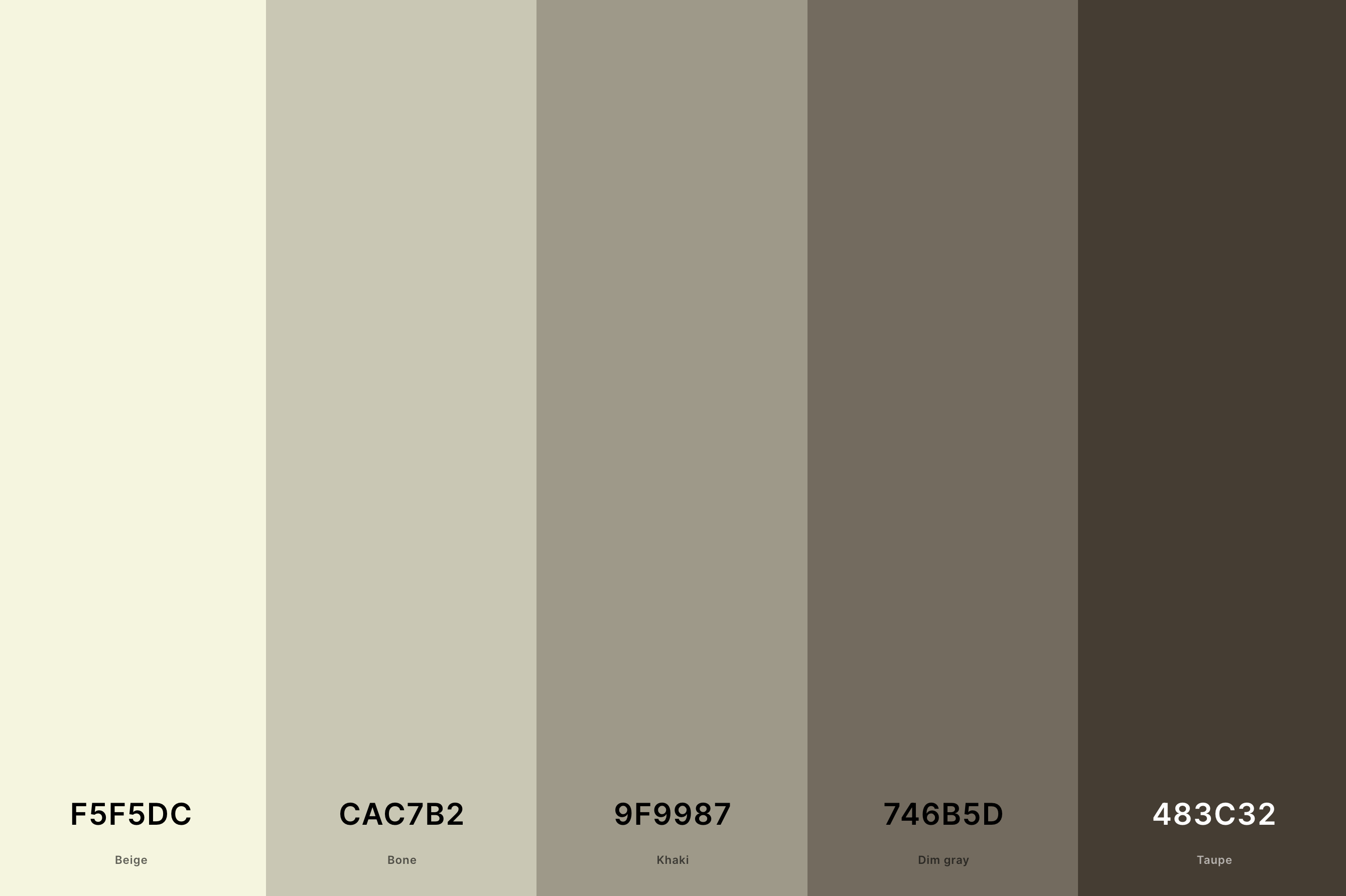 20. Beige And Taupe Color Palette Color Palette with Beige (Hex #F5F5DC) + Bone (Hex #CAC7B2) + Khaki (Hex #9F9987) + Dim Gray (Hex #746B5D) + Taupe (Hex #483C32) Color Palette with Hex Codes