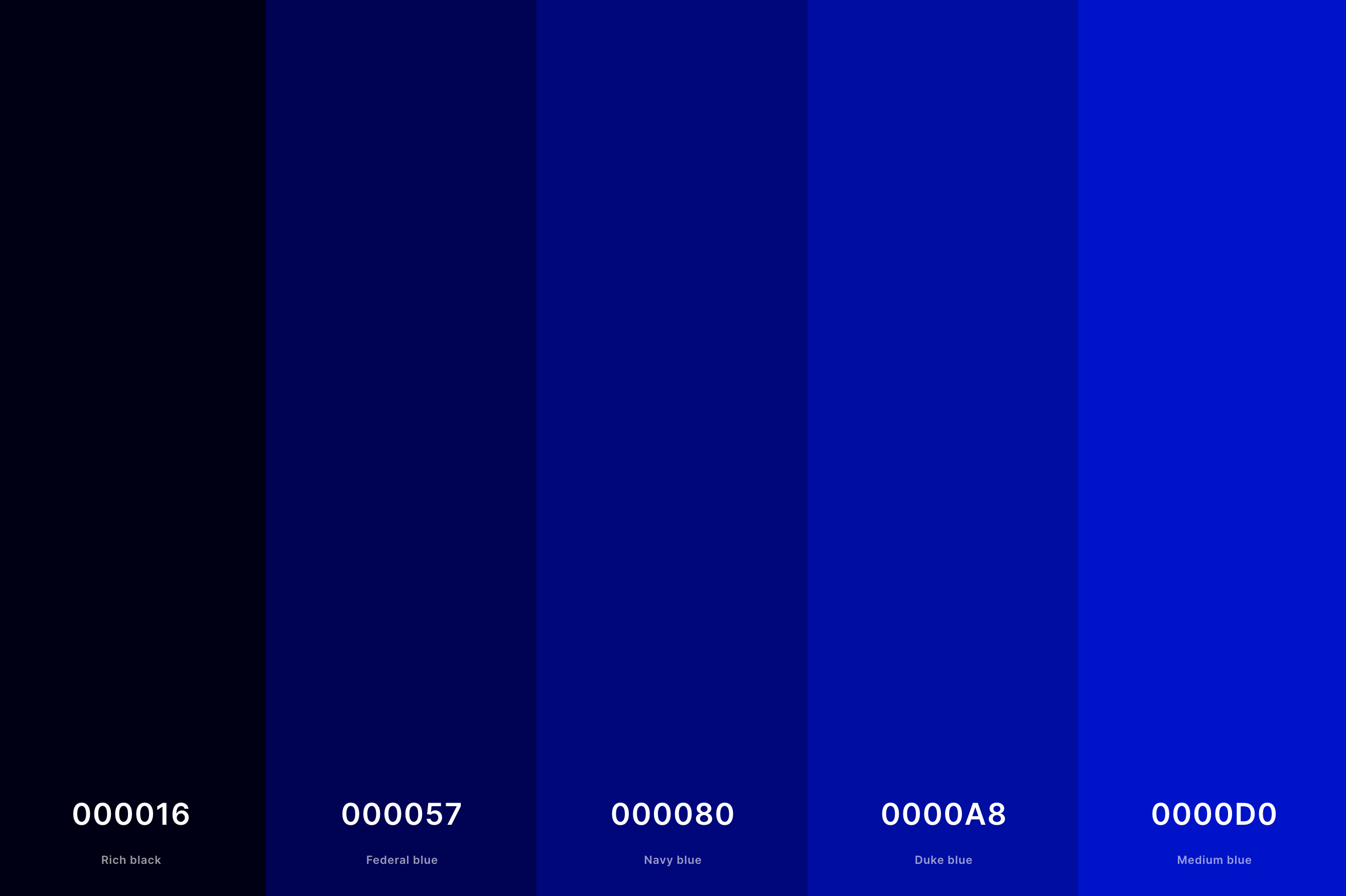 20. Black And Navy Color Palette Color Palette with Rich Black (Hex #000016) + Federal Blue (Hex #000057) + Navy Blue (Hex #000080) + Duke Blue (Hex #0000A8) + Medium Blue (Hex #0000D0) Color Palette with Hex Codes