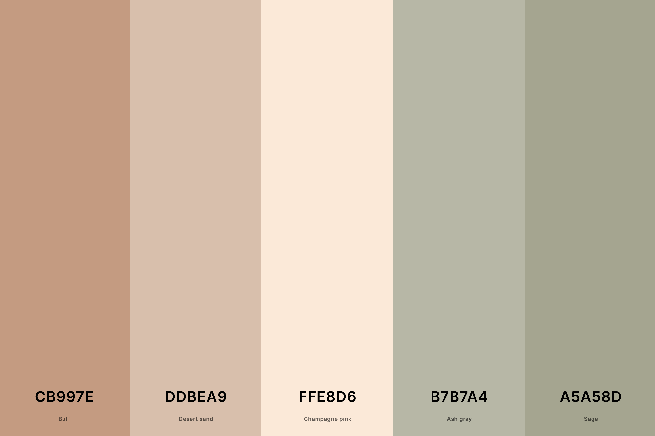 21. Neutral Earth Tones Color Palette Color Palette with Buff (Hex #CB997E) + Desert Sand (Hex #DDBEA9) + Champagne Pink (Hex #FFE8D6) + Ash Gray (Hex #B7B7A4) + Sage (Hex #A5A58D) Color Palette with Hex Codes