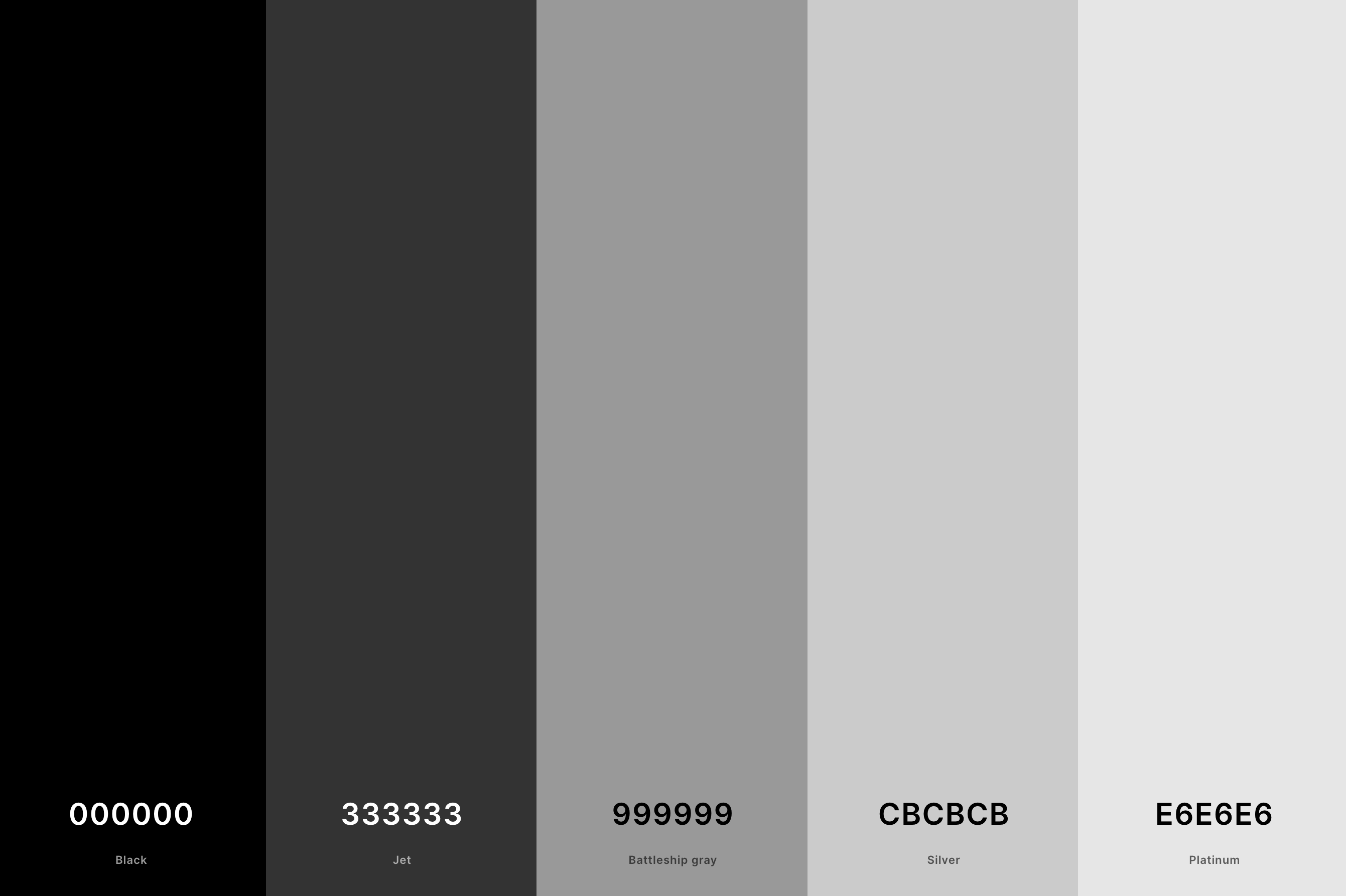 22. Black And Silver Color Palette Color Palette with Black (Hex #000000) + Jet (Hex #333333) + Battleship Gray (Hex #999999) + Silver (Hex #CBCBCB) + Platinum (Hex #E6E6E6) Color Palette with Hex Codes