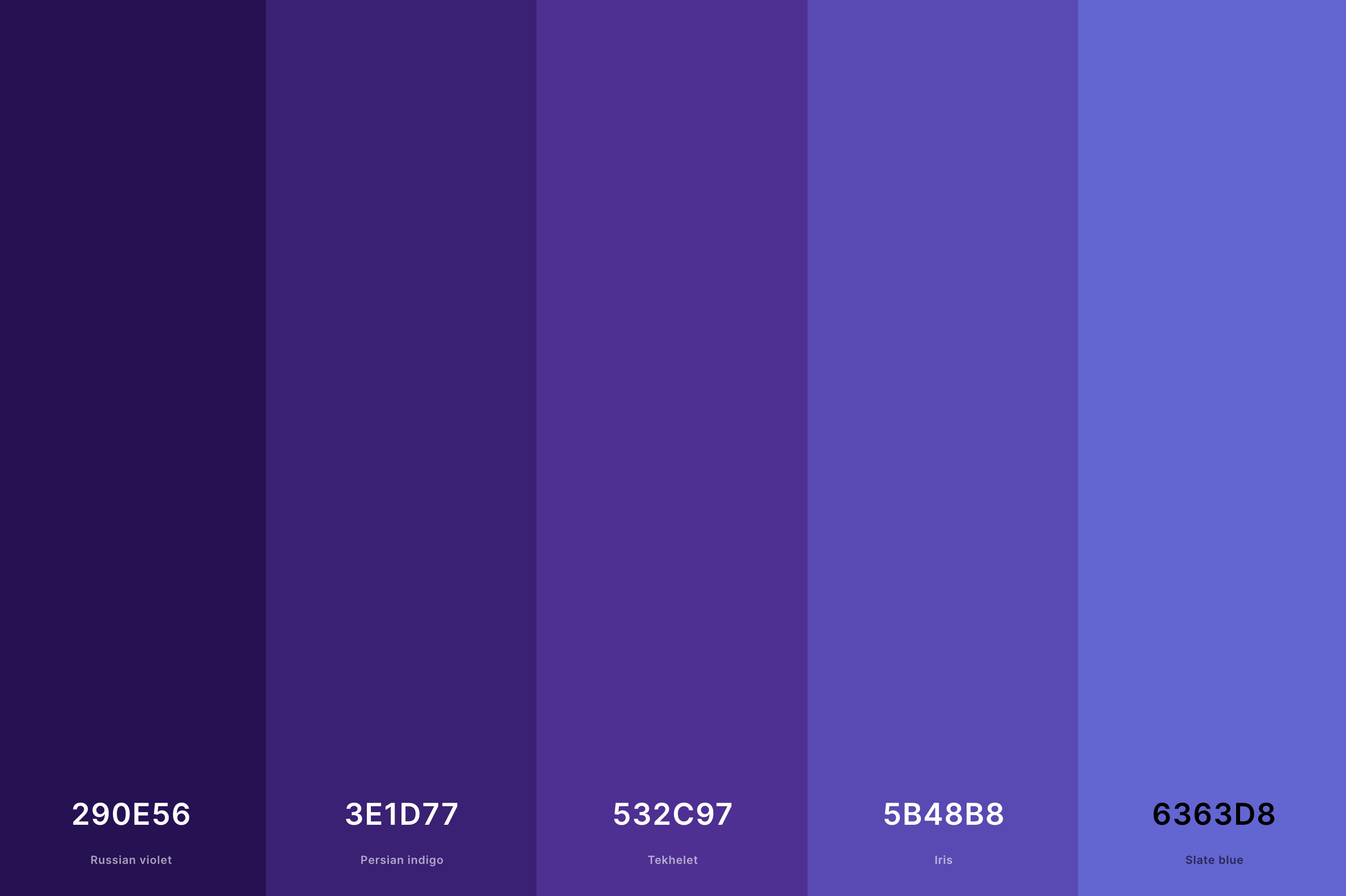 22. Dark Lavender Color Palette Color Palette with Russian Violet (Hex #290E56) + Persian Indigo (Hex #3E1D77) + Tekhelet (Hex #532C97) + Iris (Hex #5B48B8) + Slate Blue (Hex #6363D8) Color Palette with Hex Codes