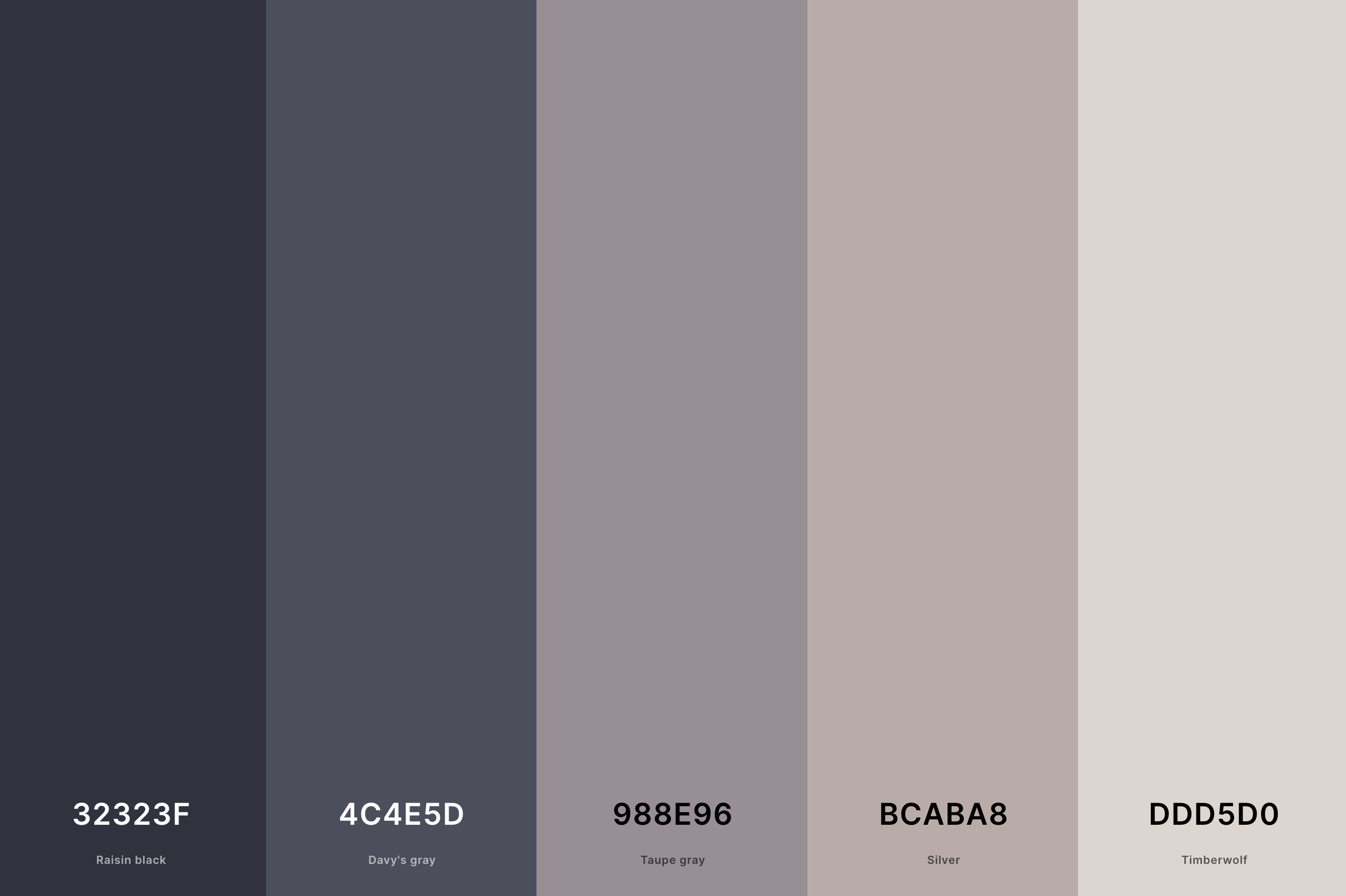 22. Modern Gray Color Palette Color Palette with Raisin Black (Hex #32323F) + Davy'S Gray (Hex #4C4E5D) + Taupe Gray (Hex #988E96) + Silver (Hex #BCABA8) + Timberwolf (Hex #DDD5D0) Color Palette with Hex Codes