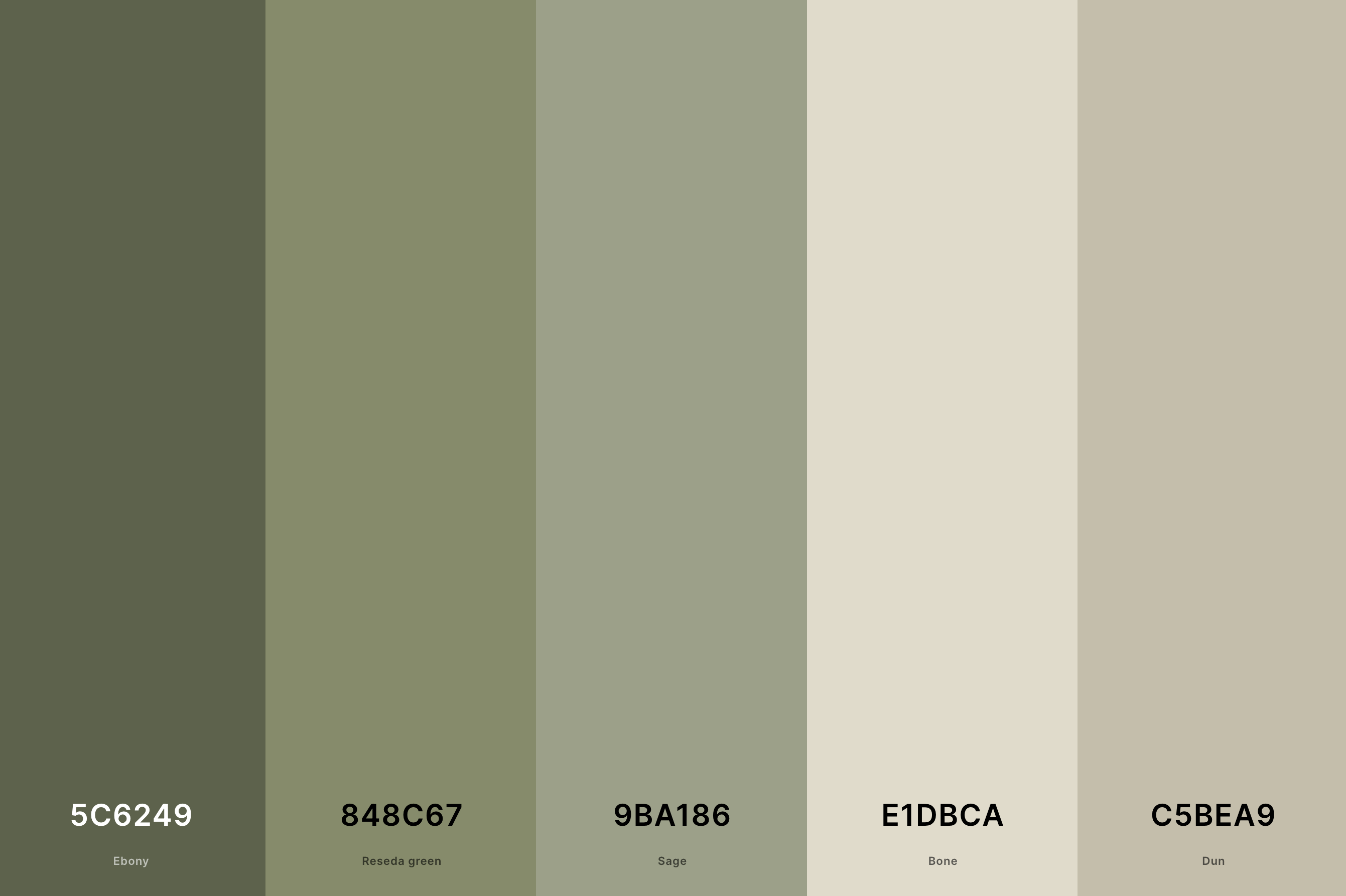 22. Sage Green and Sand Color Palette Color Palette with Ebony (Hex #5C6249) + Reseda Green (Hex #848C67) + Sage (Hex #9BA186) + Bone (Hex #E1DBCA) + Dun (Hex #C5BEA9) Color Palette with Hex Codes