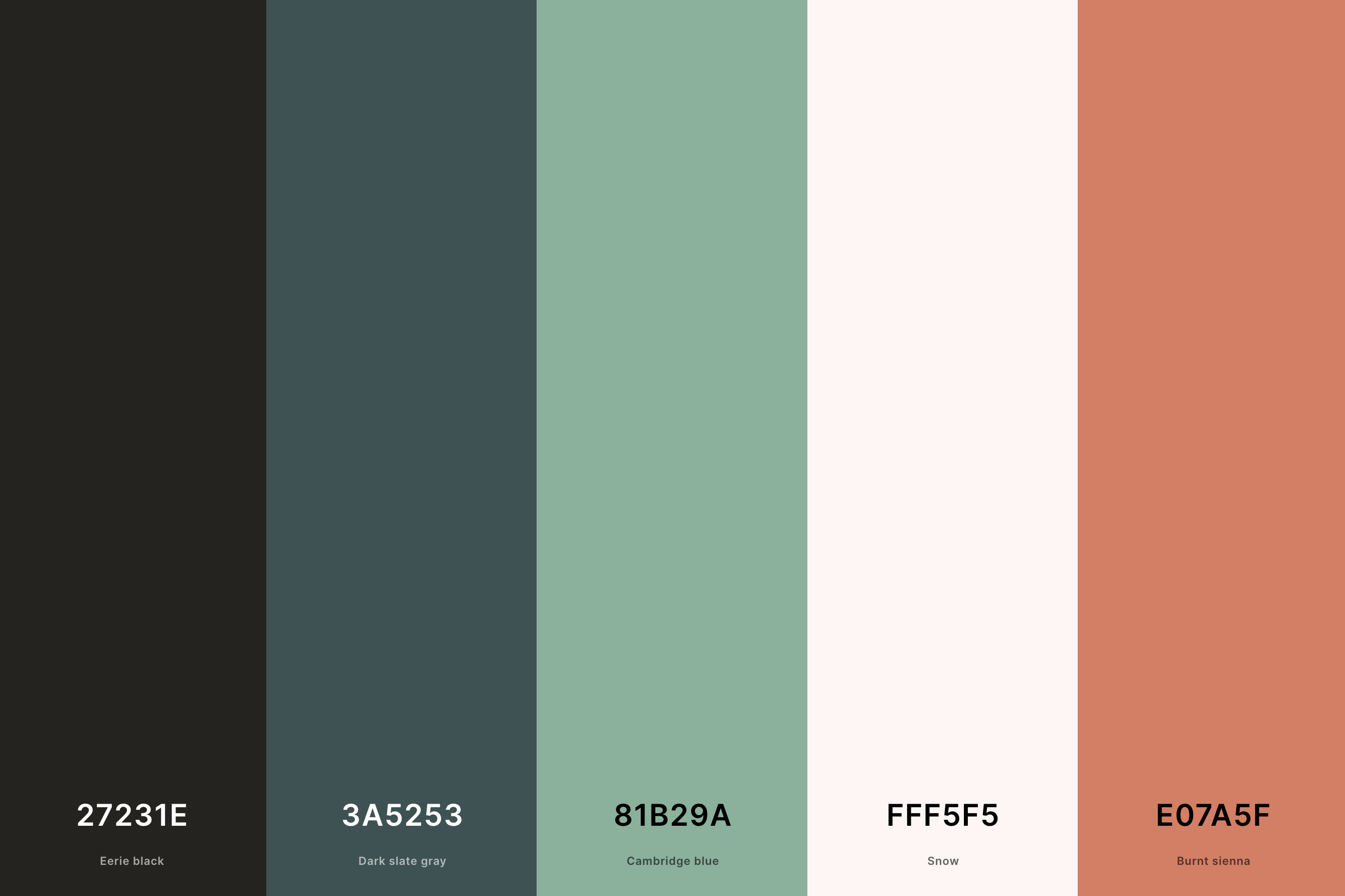 23. Aesthetic Color Palette For Website Color Palette with Eerie Black (Hex #27231E) + Dark Slate Gray (Hex #3A5253) + Cambridge Blue (Hex #81B29A) + Snow (Hex #FFF5F5) + Burnt Sienna (Hex #E07A5F) Color Palette with Hex Codes