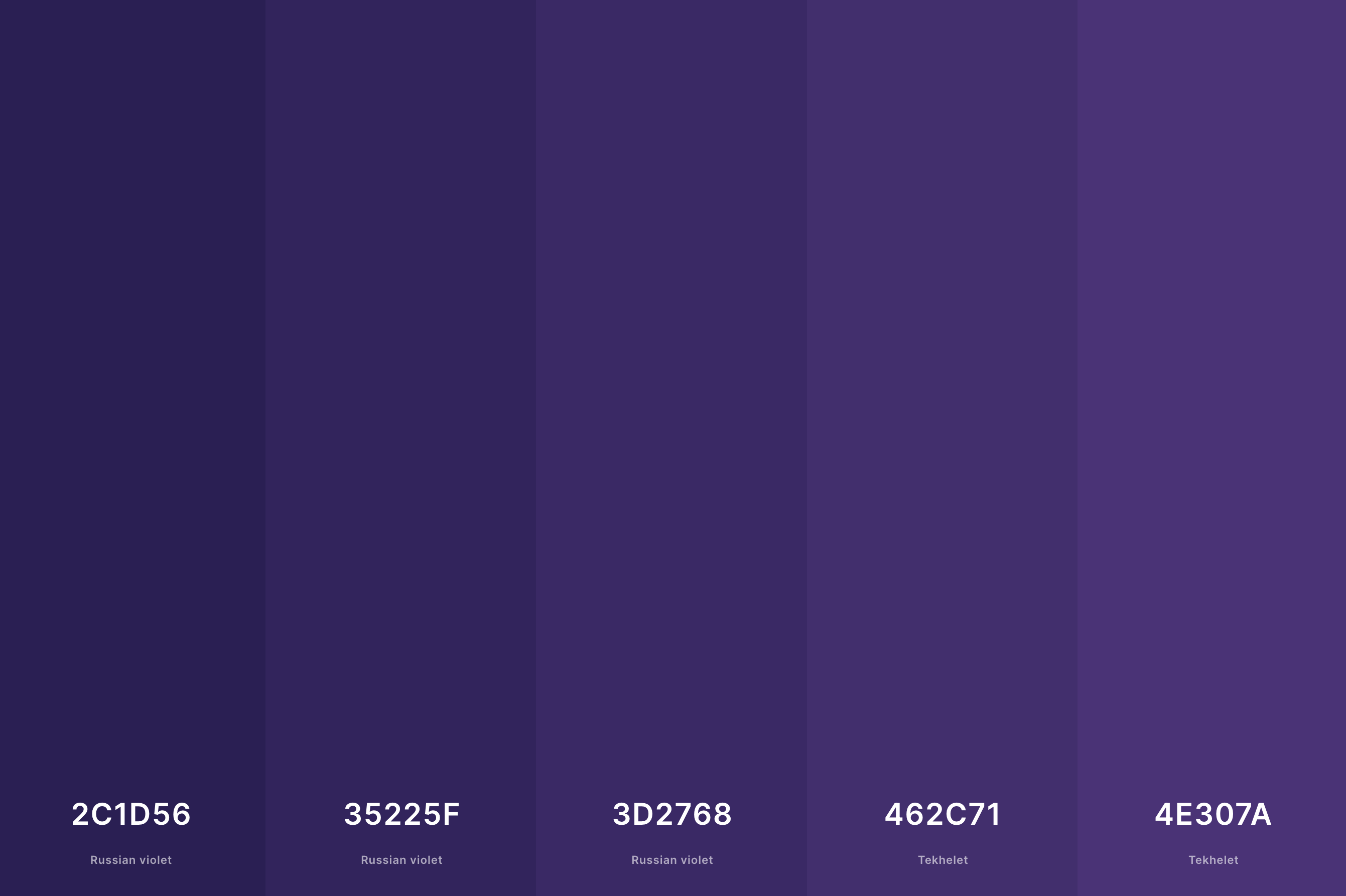 23. Deep Indigo Color Palette Color Palette with Russian Violet (Hex #2C1D56) + Russian Violet (Hex #35225F) + Russian Violet (Hex #3D2768) + Tekhelet (Hex #462C71) + Tekhelet (Hex #4E307A) Color Palette with Hex Codes