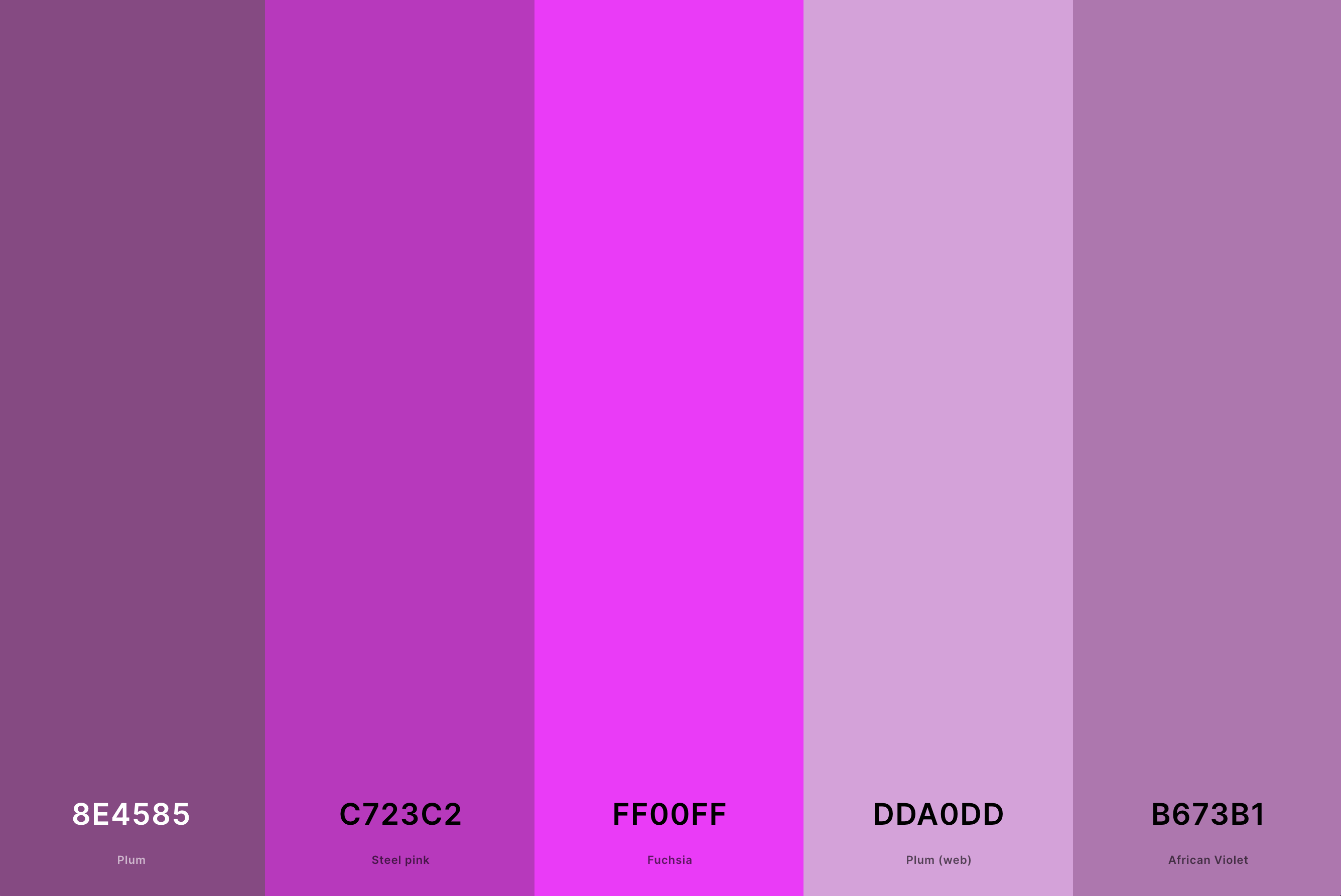 23. Magenta Plum Color Palette Color Palette with Plum (Hex #8E4585) + Steel Pink (Hex #C723C2) + Magenta (Hex #FF00FF) + Plum (Web) (Hex #DDA0DD) + African Violet (Hex #B673B1) Color Palette with Hex Codes