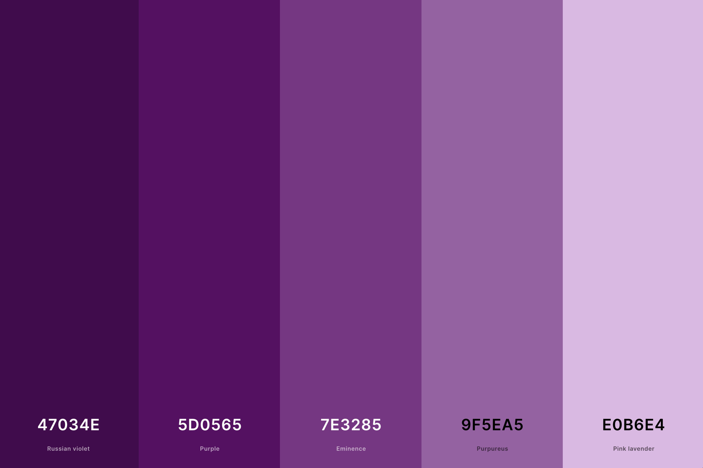 23. Shades Of Purple Color Palette Color Palette with Russian Violet (Hex #47034E) + Purple (Hex #5D0565) + Eminence (Hex #7E3285) + Purpureus (Hex #9F5EA5) + Pink Lavender (Hex #E0B6E4) Color Palette with Hex Codes