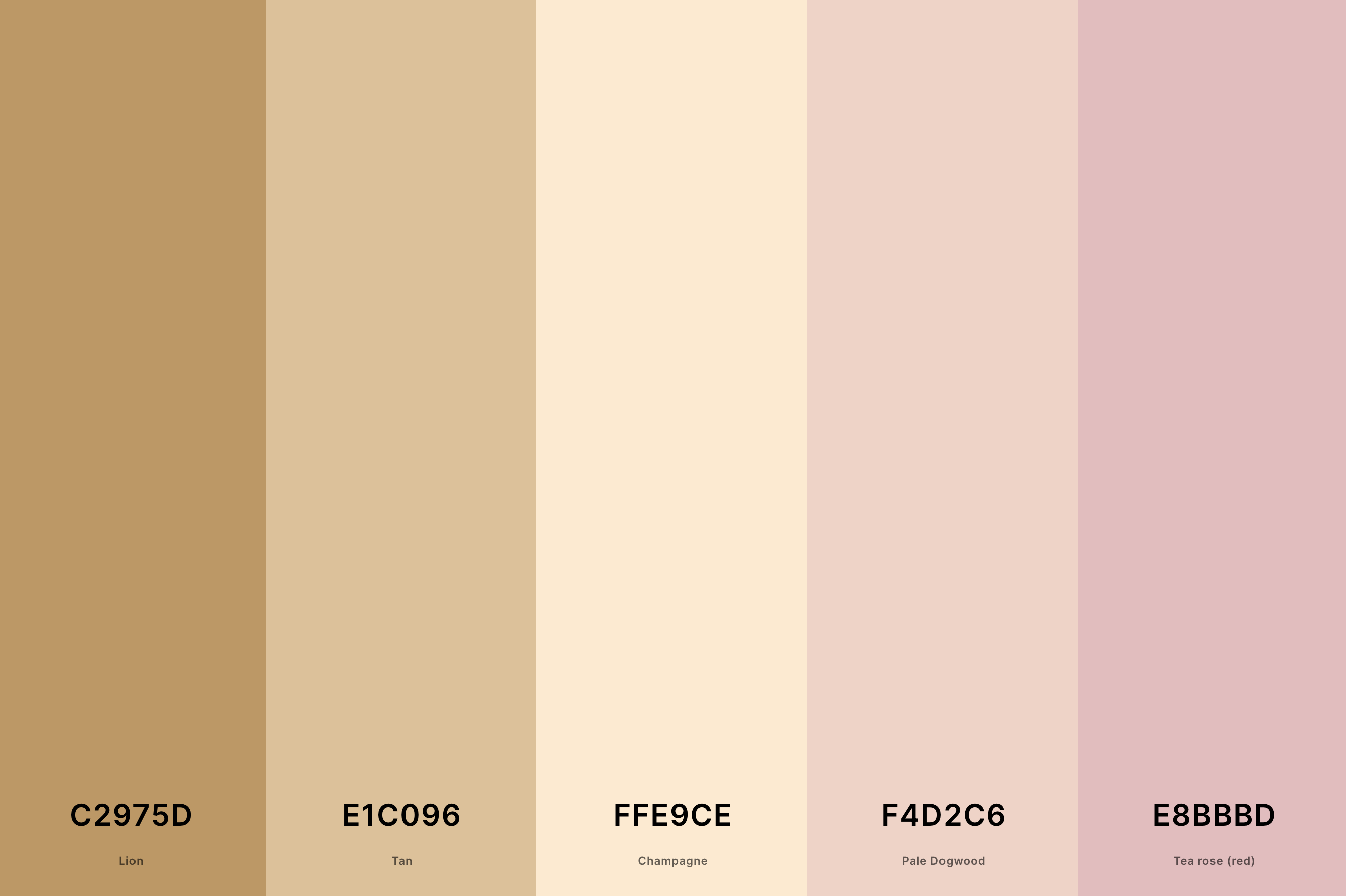 24. Rose Gold And Champagne Color Palette Color Palette with Lion (Hex #C2975D) + Tan (Hex #E1C096) + Champagne (Hex #FFE9CE) + Pale Dogwood (Hex #F4D2C6) + Tea Rose (Red) (Hex #E8BBBD) Color Palette with Hex Codes