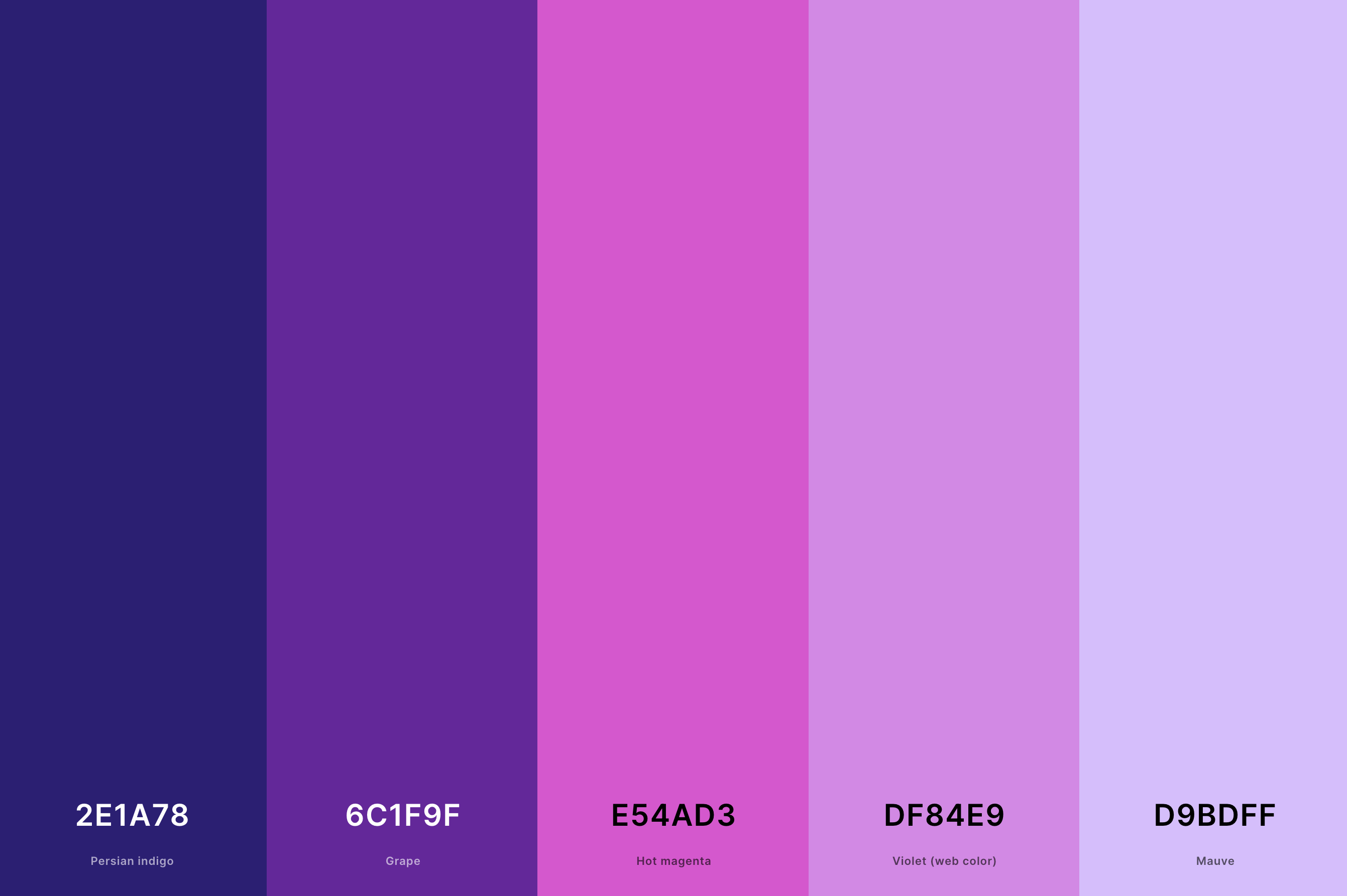 25. Aesthetic Galaxy Color Palette Color Palette with Persian Indigo (Hex #2E1A78) + Grape (Hex #6C1F9F) + Hot Magenta (Hex #E54AD3) + Violet (Web Color) (Hex #DF84E9) + Mauve (Hex #D9BDFF) Color Palette with Hex Codes