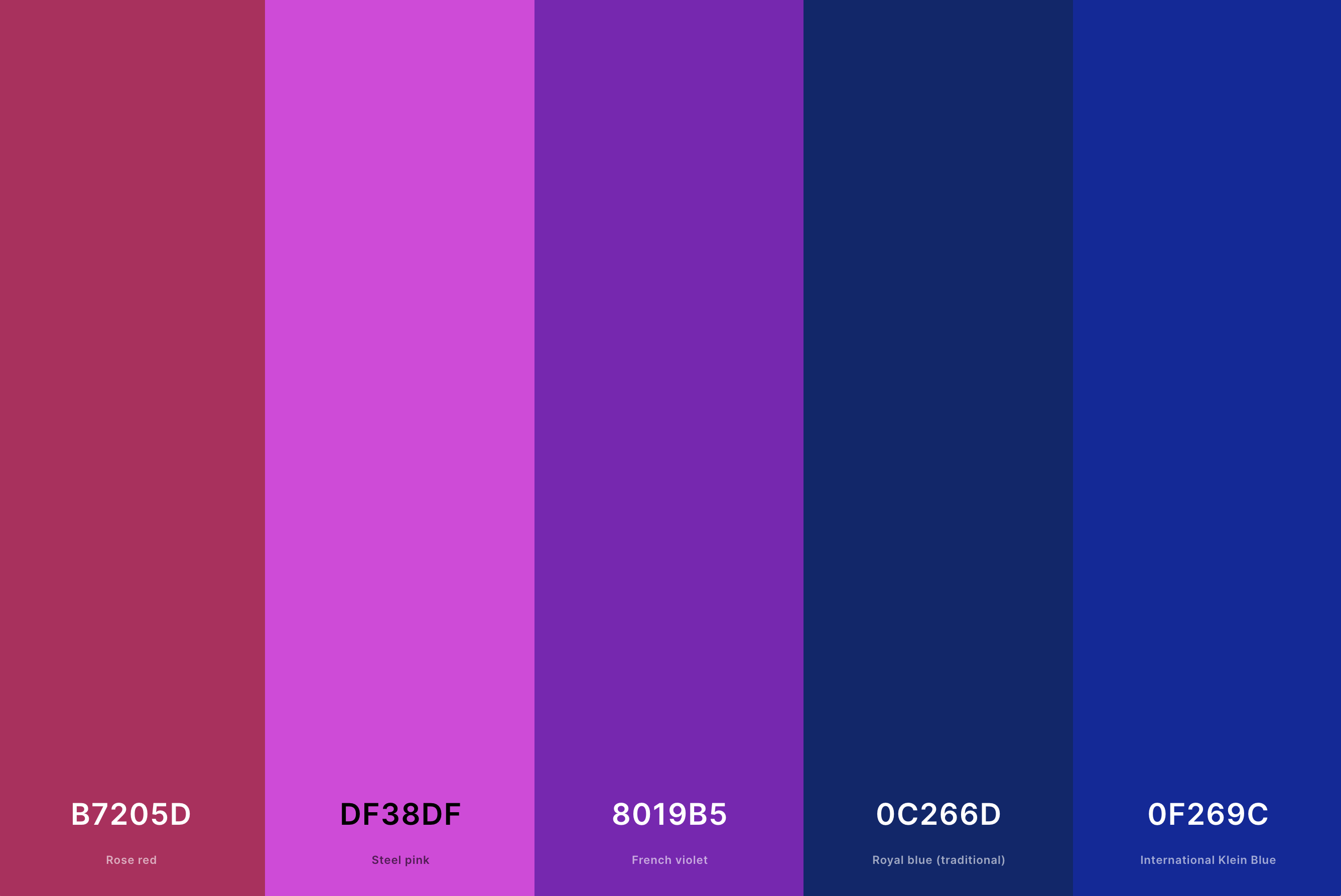 25. Magenta And Navy Blue Color Palette Color Palette with Rose Red (Hex #B7205D) + Steel Pink (Hex #DF38DF) + French Violet (Hex #8019B5) + Royal Blue (Traditional) (Hex #0C266D) + International Klein Blue (Hex #0F269C) Color Palette with Hex Codes
