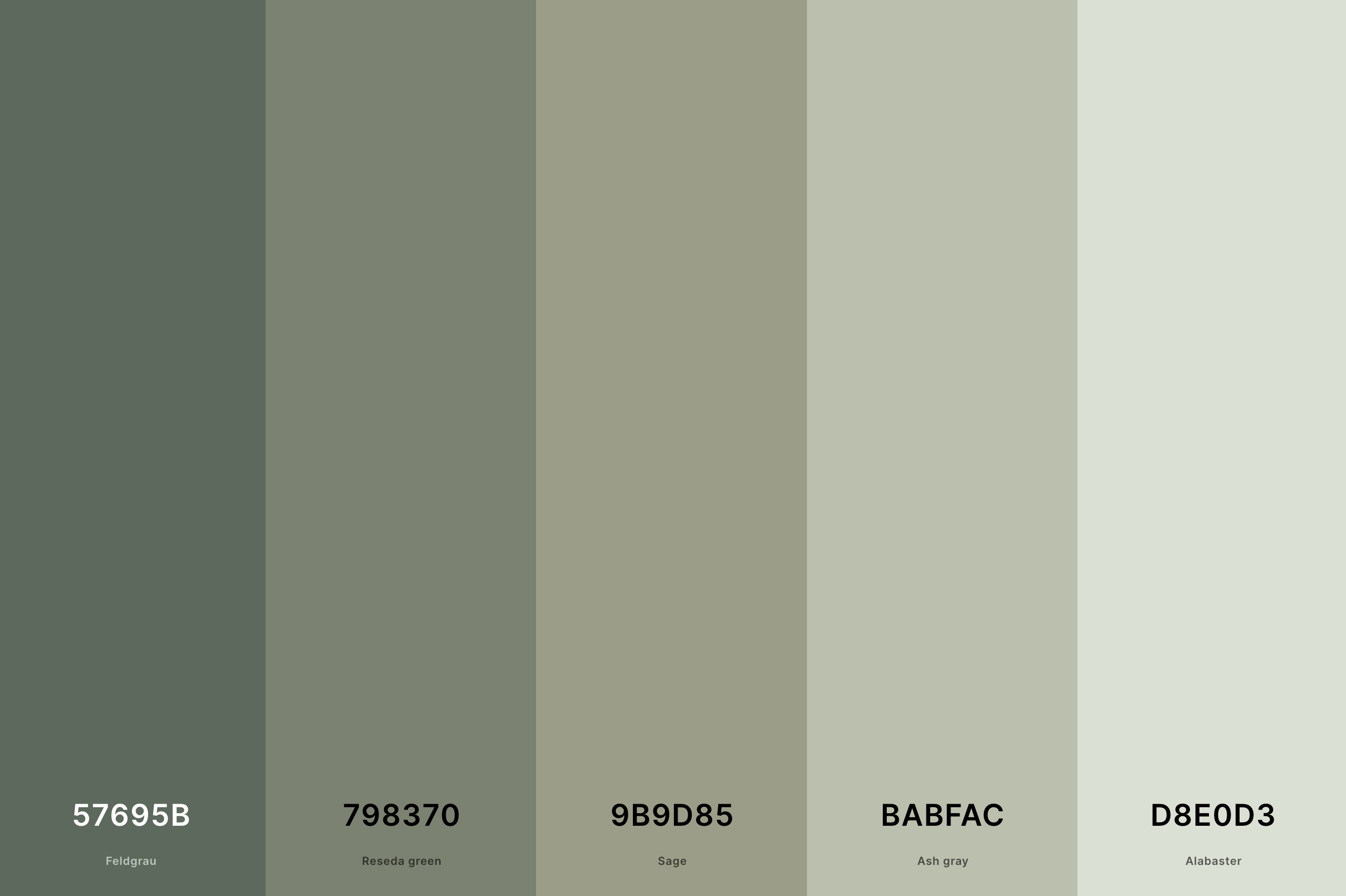 25. Sage Green Shades Color Palette Color Palette with Feldgrau (Hex #57695B) + Reseda Green (Hex #798370) + Sage (Hex #9B9D85) + Ash Gray (Hex #BABFAC) + Alabaster (Hex #D8E0D3) Color Palette with Hex Codes