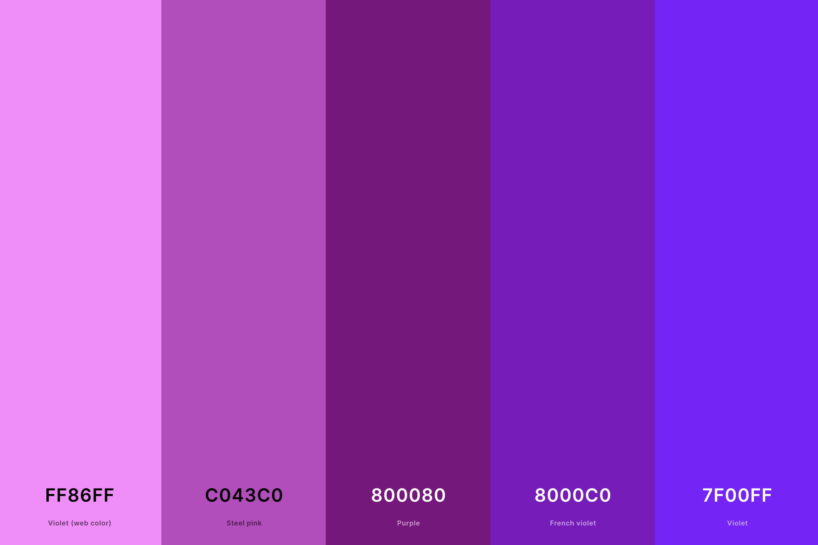 25. Violet And Purple Color Palette Color Palette with Violet (Web Color) (Hex #FF86FF) + Steel Pink (Hex #C043C0) + Purple (Hex #800080) + French Violet (Hex #8000C0) + Violet (Hex #7F00FF) Color Palette with Hex Codes