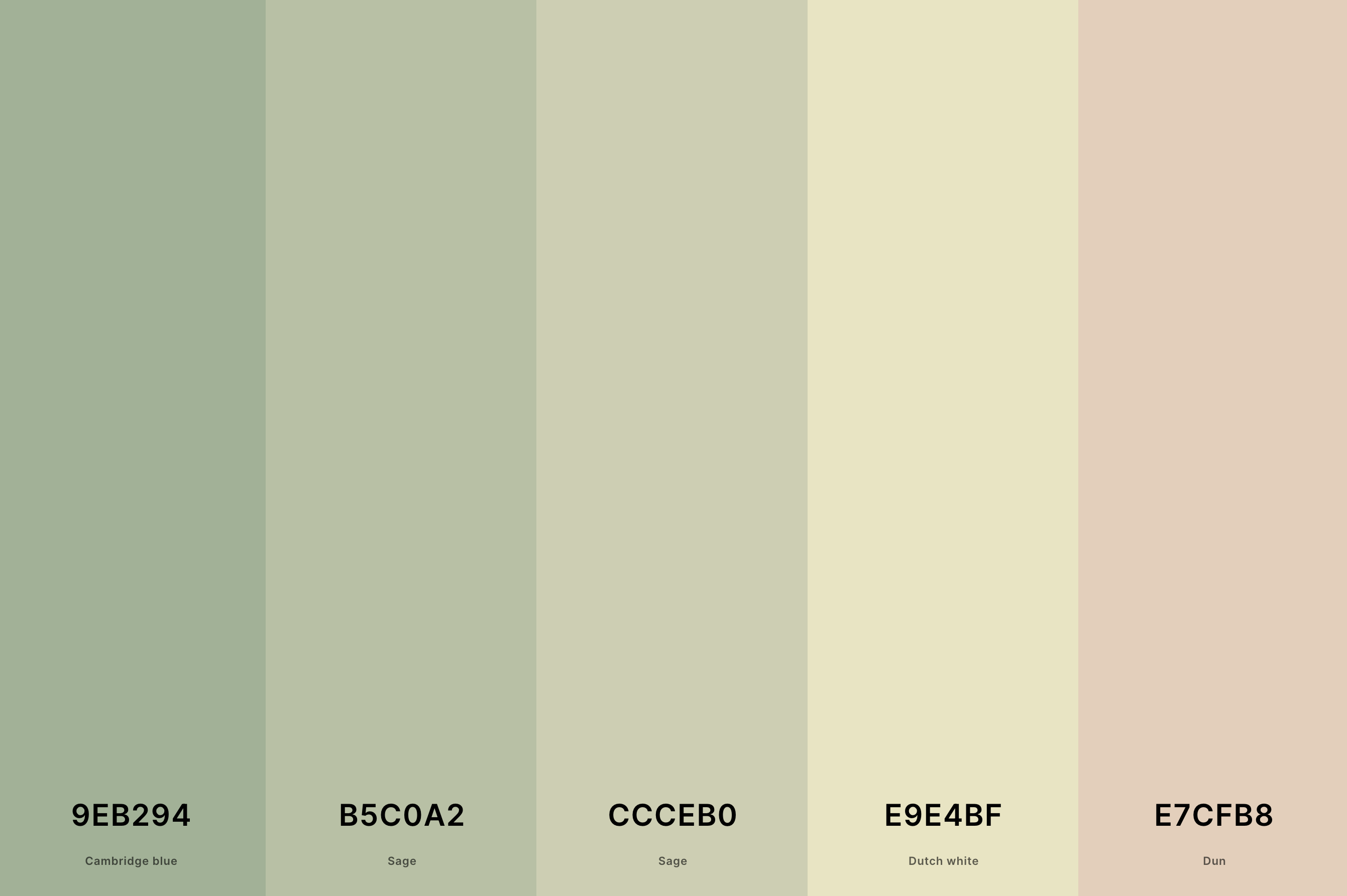 26. Sage Green Pastel Color Palette Color Palette with Cambridge Blue (Hex #9EB294) + Sage (Hex #B5C0A2) + Sage (Hex #CCCEB0) + Dutch White (Hex #E9E4BF) + Dun (Hex #E7CFB8) Color Palette with Hex Codes