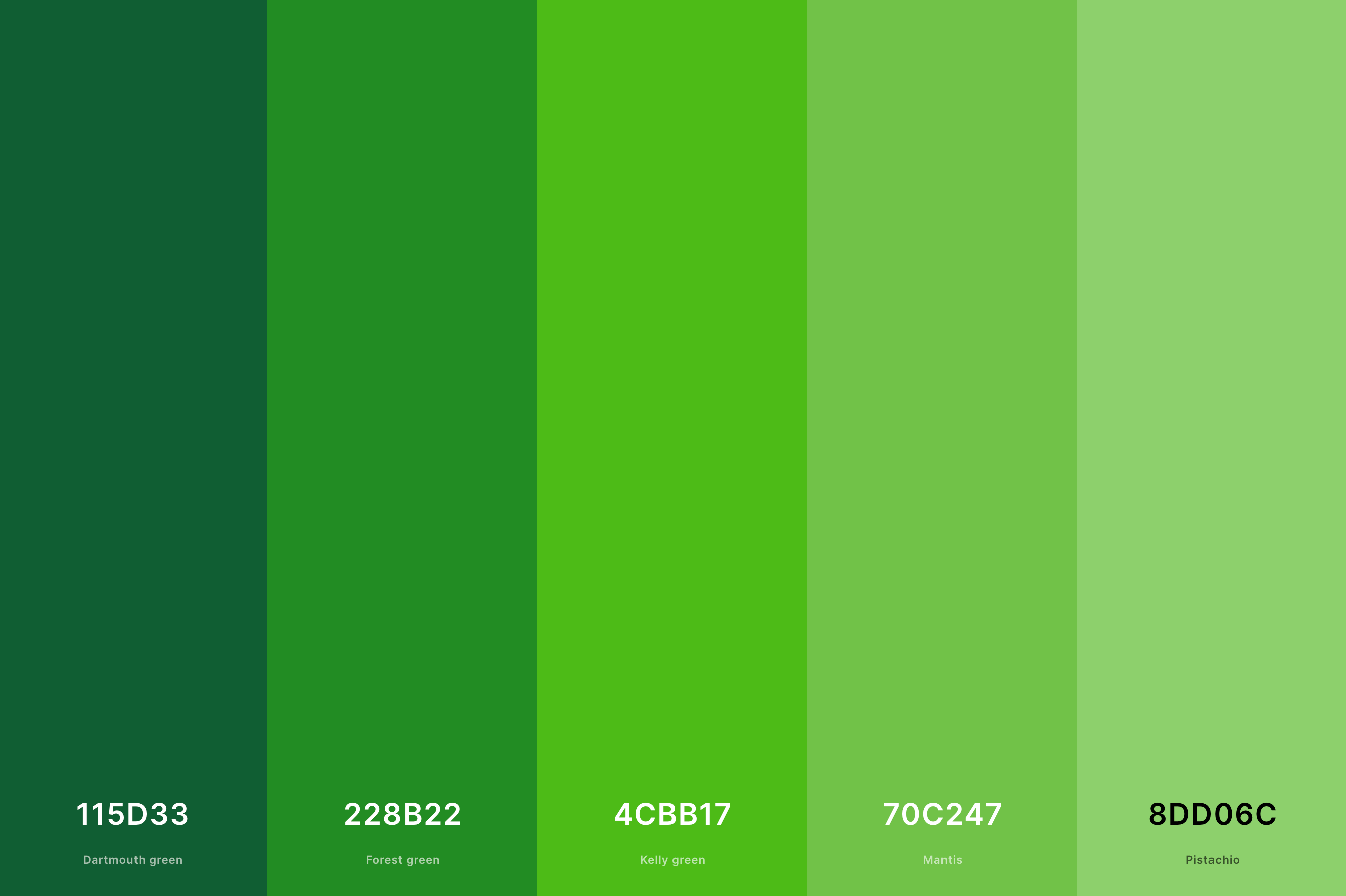 35+ Best Green Color Palettes with Names and Hex Codes (2023)