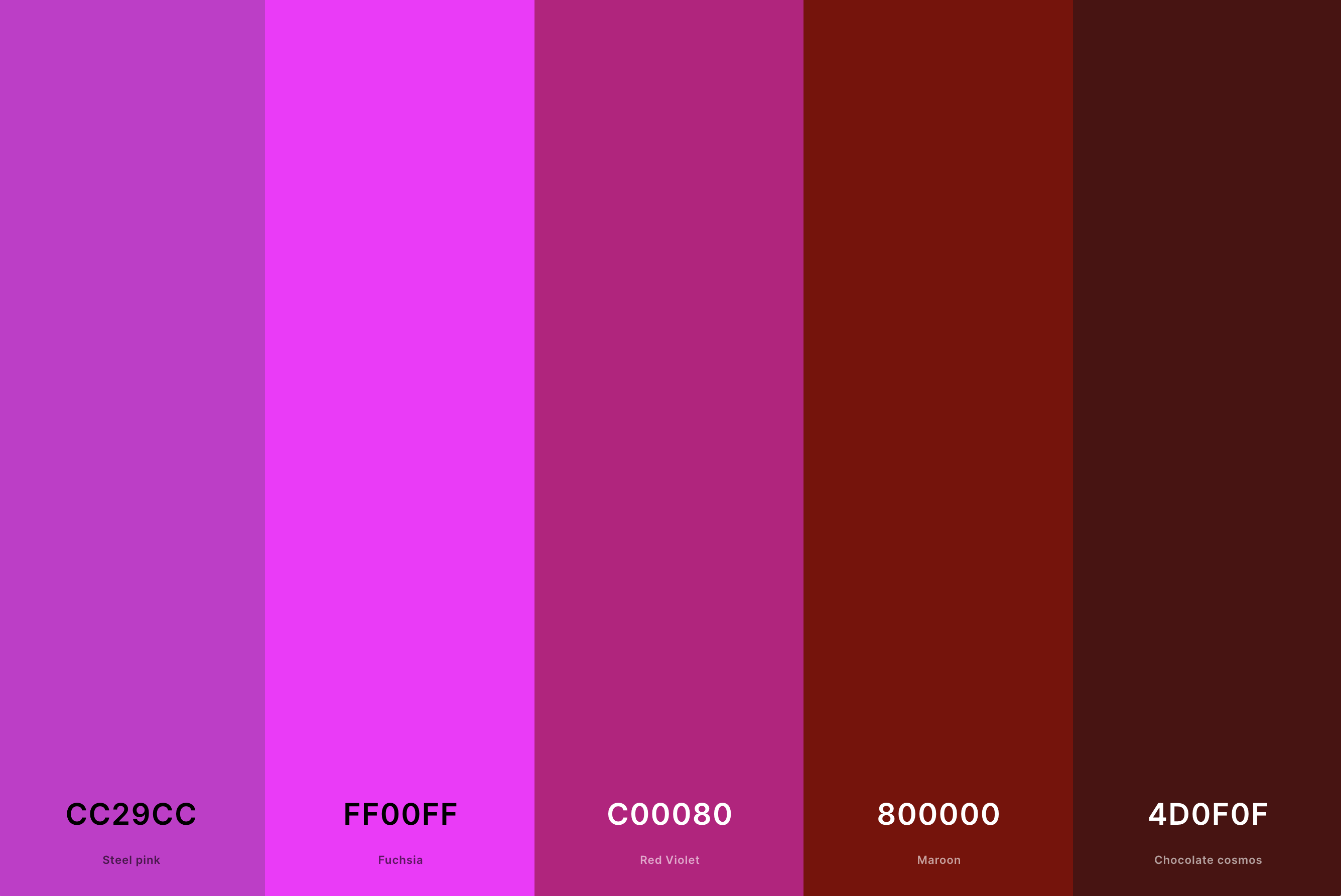 27. Magenta And Maroon Color Palette Color Palette with Steel Pink (Hex #CC29CC) + Magenta (Hex #FF00FF) + Red Violet (Hex #C00080) + Maroon (Hex #800000) + Chocolate Cosmos (Hex #4D0F0F) Color Palette with Hex Codes