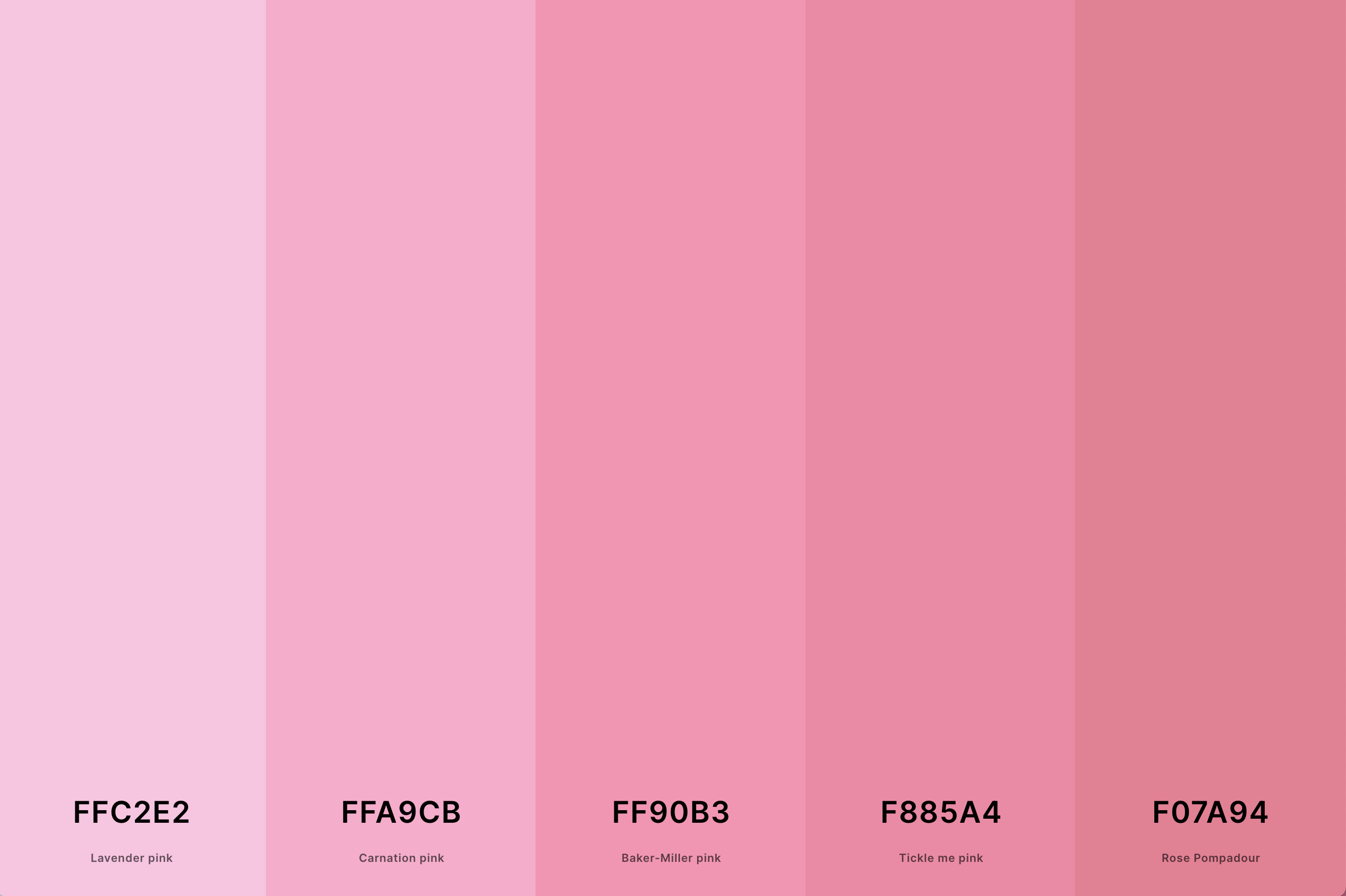 25+ Best Pink Color Palettes with Names and Hex Codes