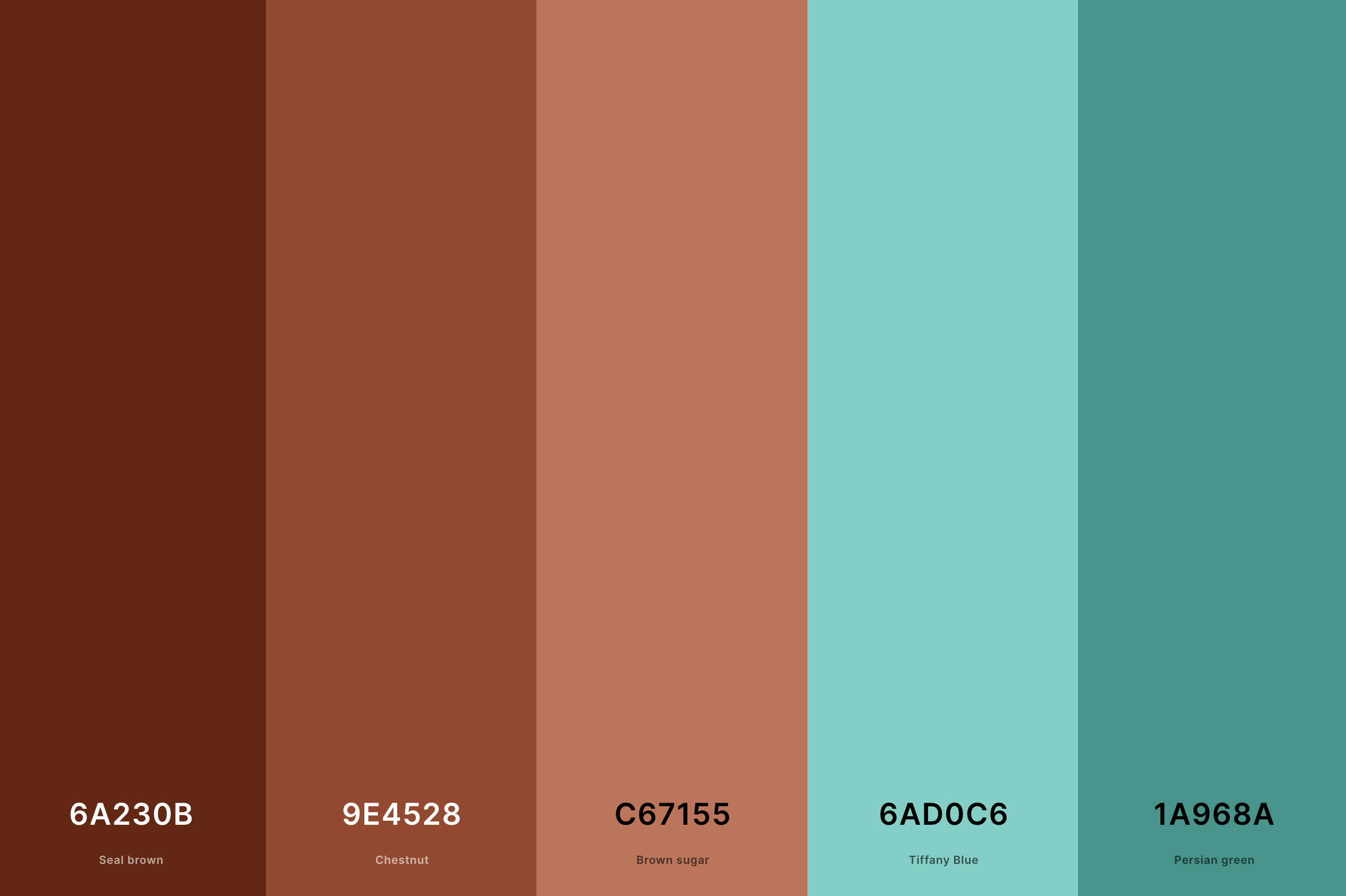 27. Turquoise And Terracotta Color Palette Color Palette with Seal Brown (Hex #6A230B) + Chestnut (Hex #9E4528) + Brown Sugar (Hex #C67155) + Tiffany Blue (Hex #6AD0C6) + Persian Green (Hex #1A968A) Color Palette with Hex Codes