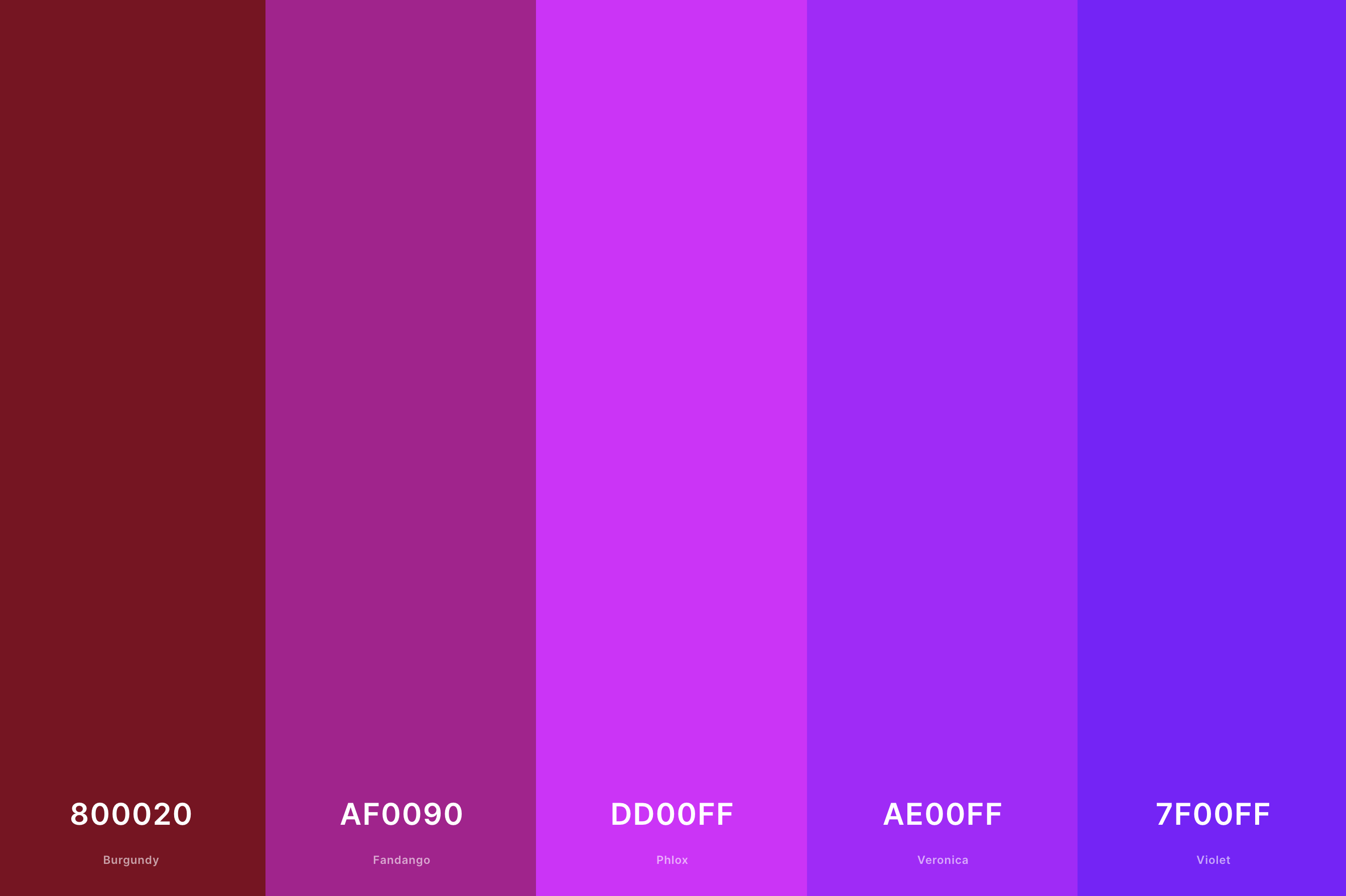 27. Violet And Burgundy Color Palette Color Palette with Burgundy (Hex #800020) + Fandango (Hex #AF0090) + Phlox (Hex #DD00FF) + Veronica (Hex #AE00FF) + Violet (Hex #7F00FF) Color Palette with Hex Codes