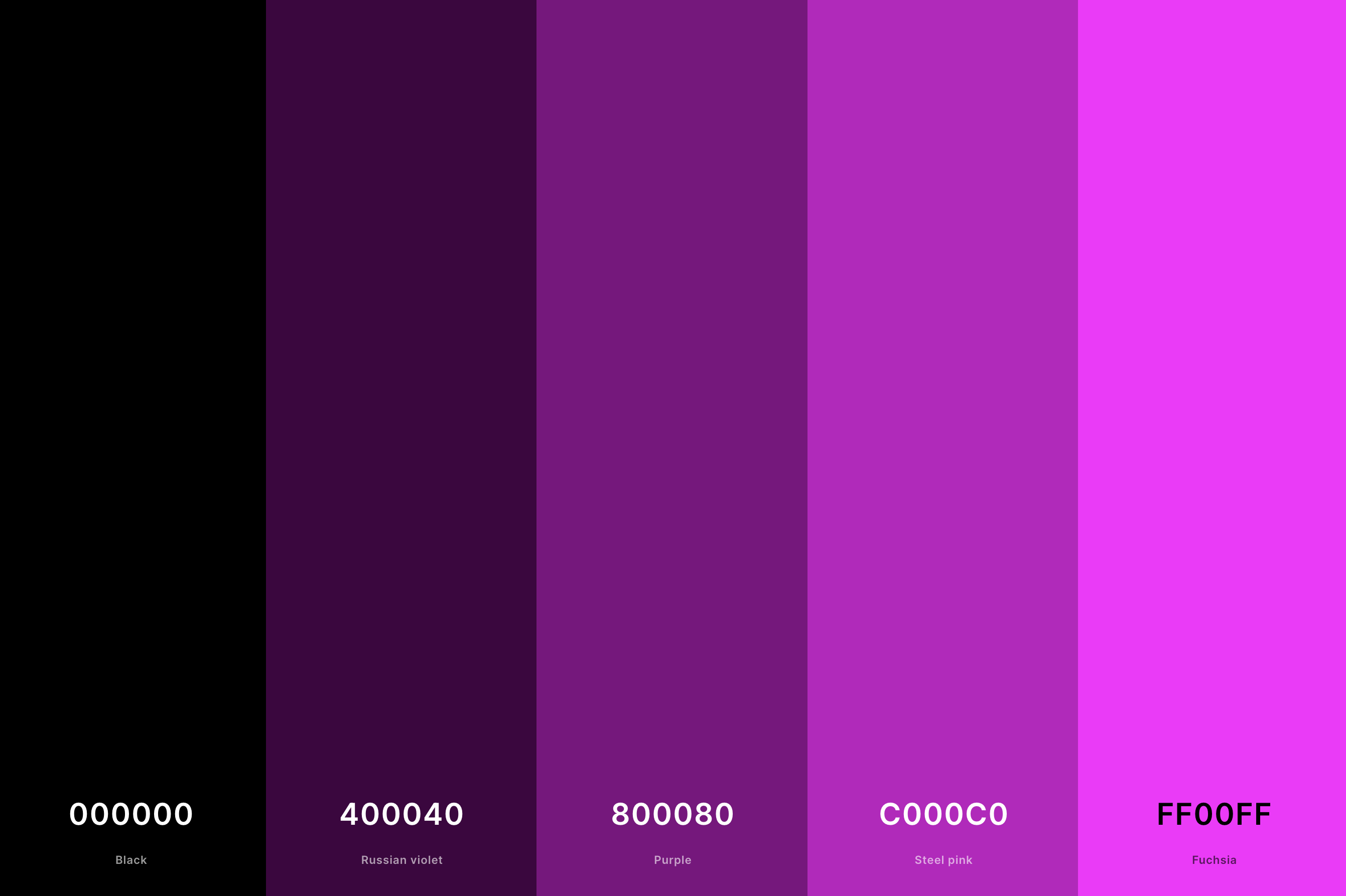 3. Dark Magenta Color Palette Color Palette with Black (Hex #000000) + Russian Violet (Hex #400040) + Purple (Hex #800080) + Steel Pink (Hex #C000C0) + Magenta (Hex #FF00FF) Color Palette with Hex Codes
