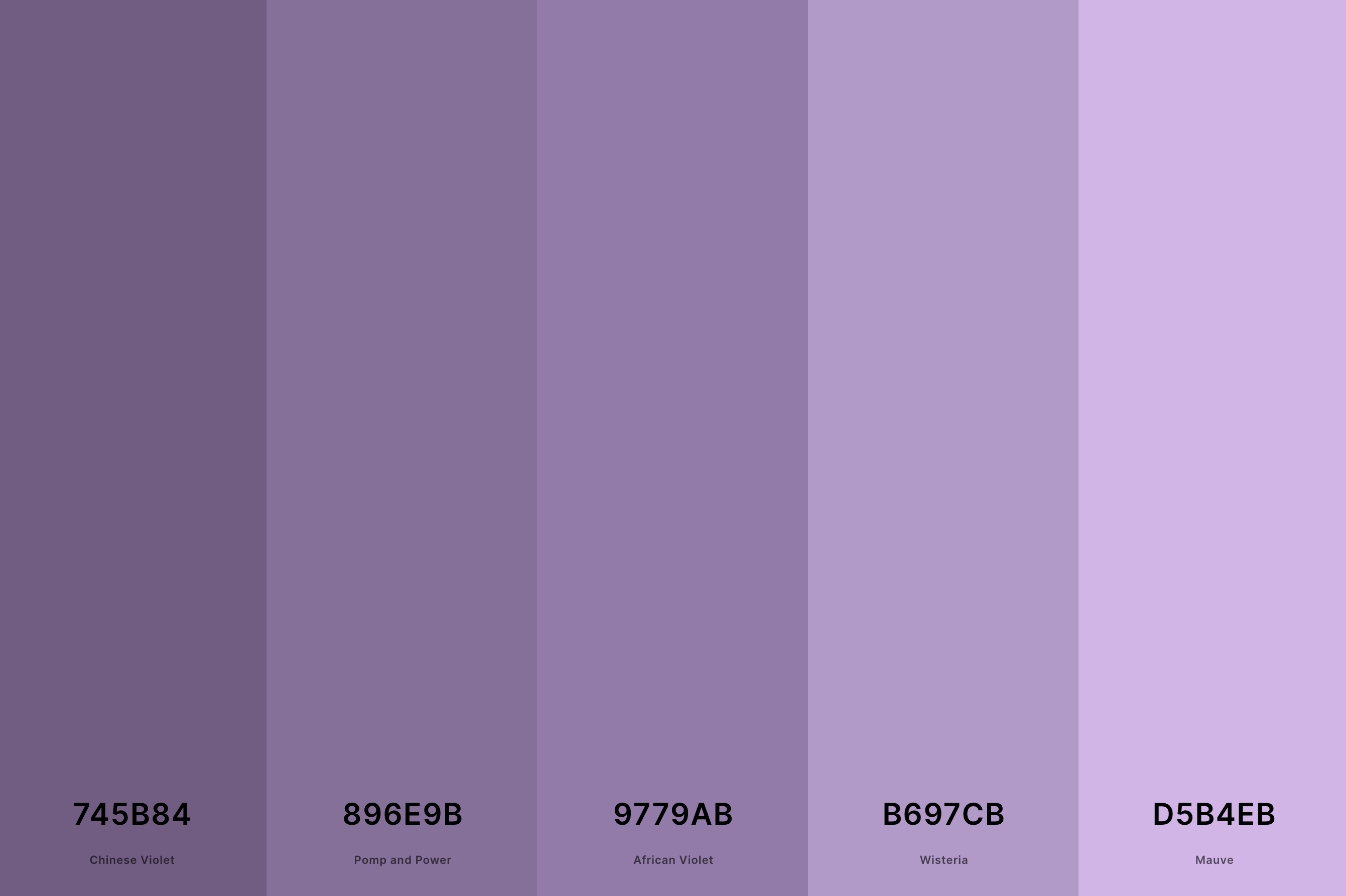 3. Dusty Mauve Color Palette Color Palette with Chinese Violet (Hex #745B84) + Pomp And Power (Hex #896E9B) + African Violet (Hex #9779AB) + Wisteria (Hex #B697CB) + Mauve (Hex #D5B4EB) Color Palette with Hex Codes