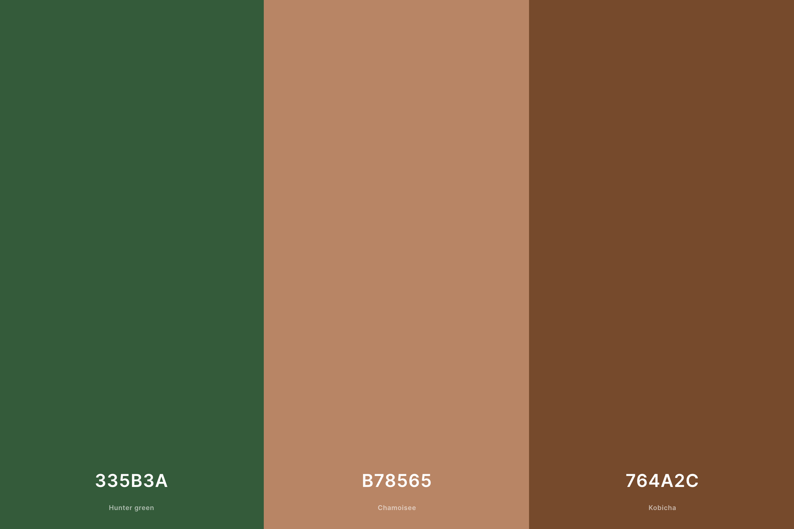 3. Forest Green and Rustic Brown Palette Color Palette with Hunter Green (Hex #335B3A) + Chamoisee (Hex #B78565) + Kobicha (Hex #764A2C) with Hex Codes