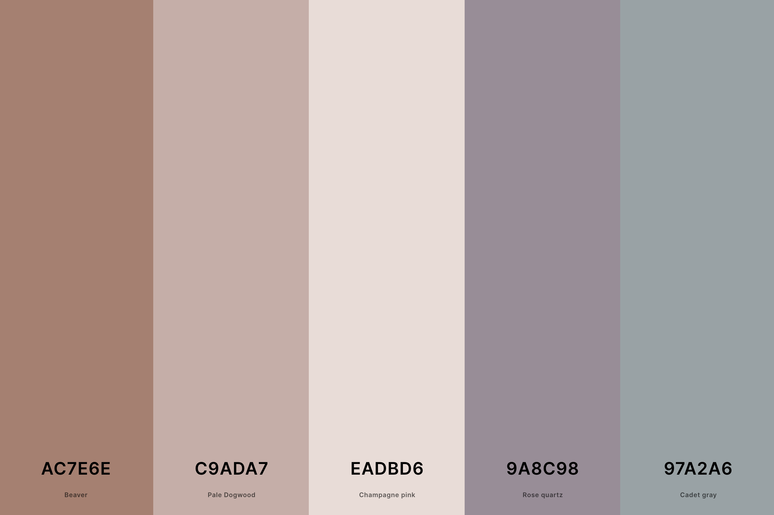 3. Soft Aesthetic Color Palette Color Palette with Beaver (Hex #AC7E6E) + Pale Dogwood (Hex #C9ADA7) + Champagne Pink (Hex #EADBD6) + Rose Quartz (Hex #9A8C98) + Cadet Gray (Hex #97A2A6) Color Palette with Hex Codes