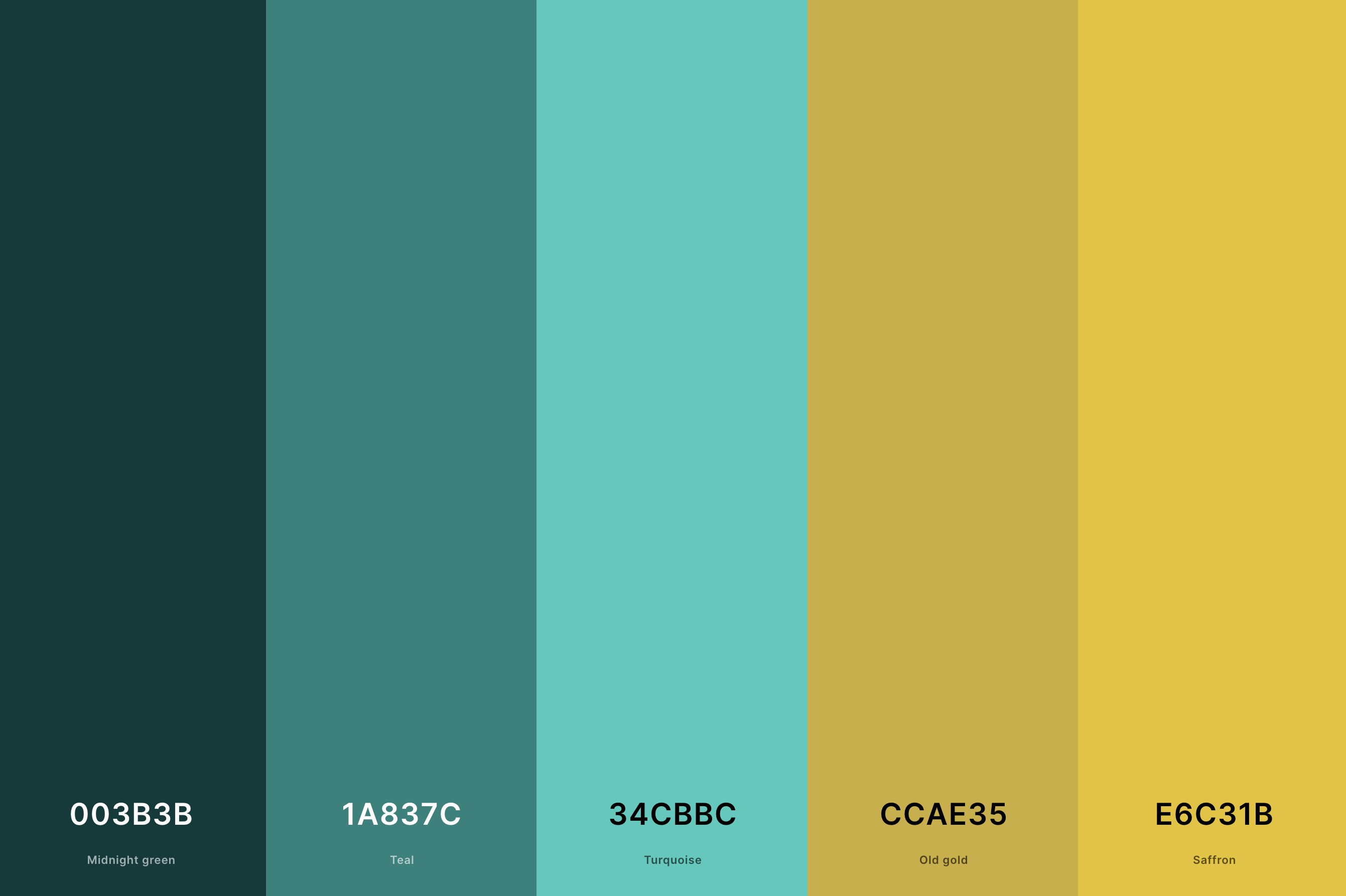 3. Turquoise And Gold Color Palette Color Palette with Midnight Green (Hex #003B3B) + Teal (Hex #1A837C) + Turquoise (Hex #34CBBC) + Old Gold (Hex #CCAE35) + Saffron (Hex #E6C31B) Color Palette with Hex Codes