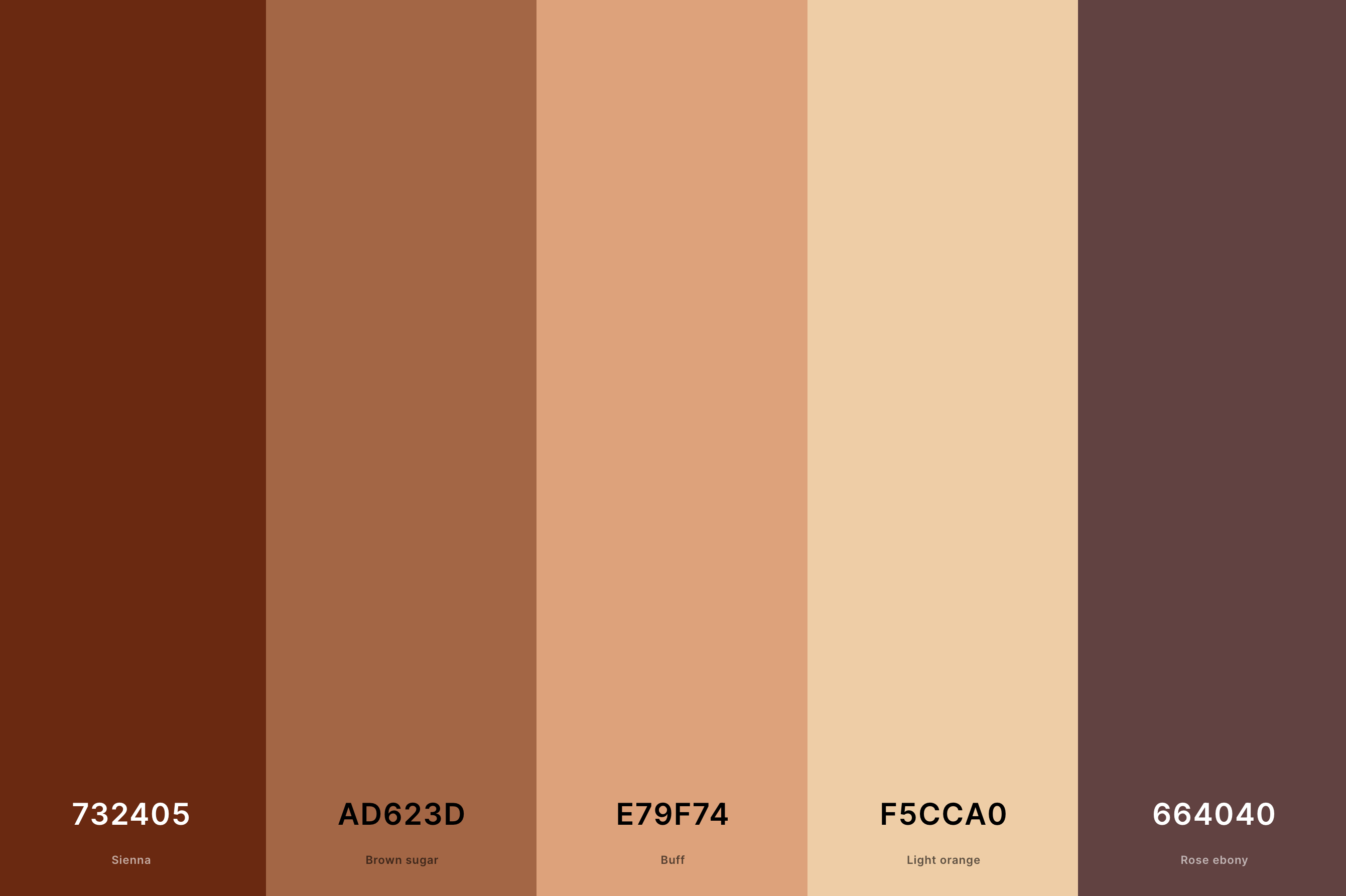 3. Warm Terracotta Color Palette Color Palette with Sienna (Hex #732405) + Brown Sugar (Hex #AD623D) + Buff (Hex #E79F74) + Light Orange (Hex #F5CCA0) + Rose Ebony (Hex #664040) Color Palette with Hex Codes