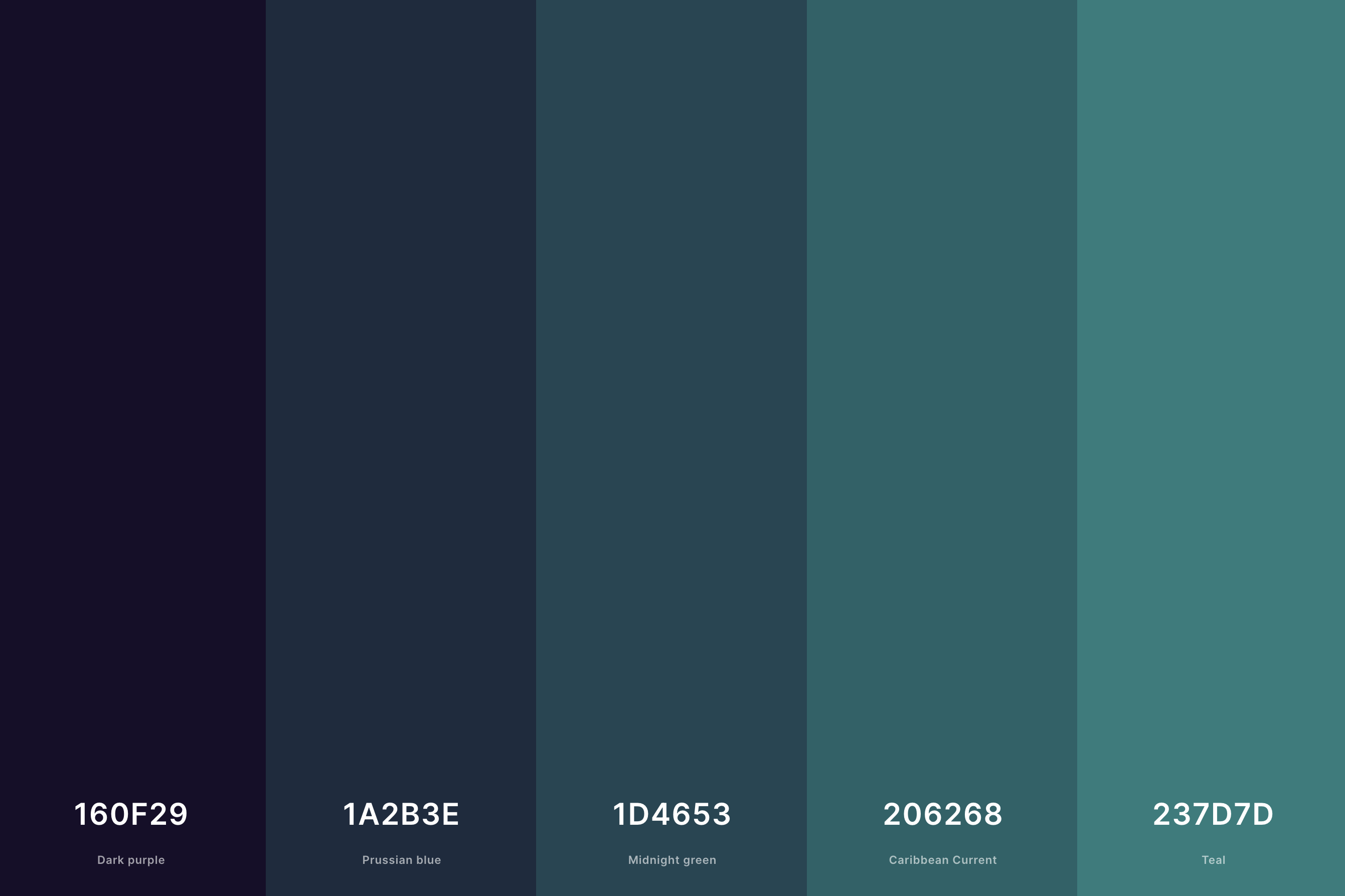 4. Dark Turquoise Color Palette Color Palette with Dark Purple (Hex #160F29) + Prussian Blue (Hex #1A2B3E) + Midnight Green (Hex #1D4653) + Caribbean Current (Hex #206268) + Teal (Hex #237D7D) Color Palette with Hex Codes