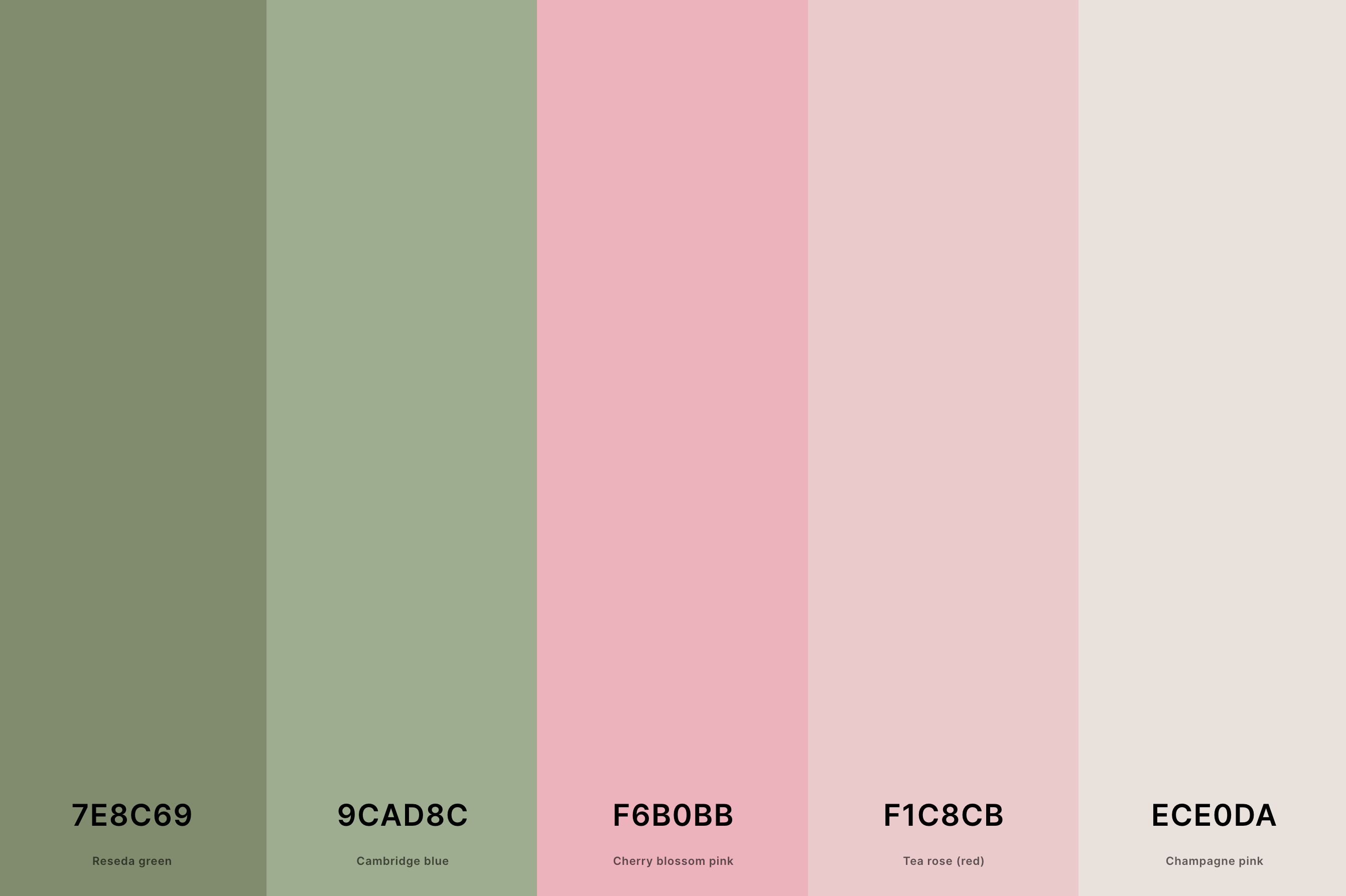 4. Sage Green And Pink Color Palette Color Palette with Reseda Green (Hex #7E8C69) + Cambridge Blue (Hex #9CAD8C) + Cherry Blossom Pink (Hex #F6B0BB) + Tea Rose (Red) (Hex #F1C8CB) + Champagne Pink (Hex #ECE0DA) Color Palette with Hex Codes
