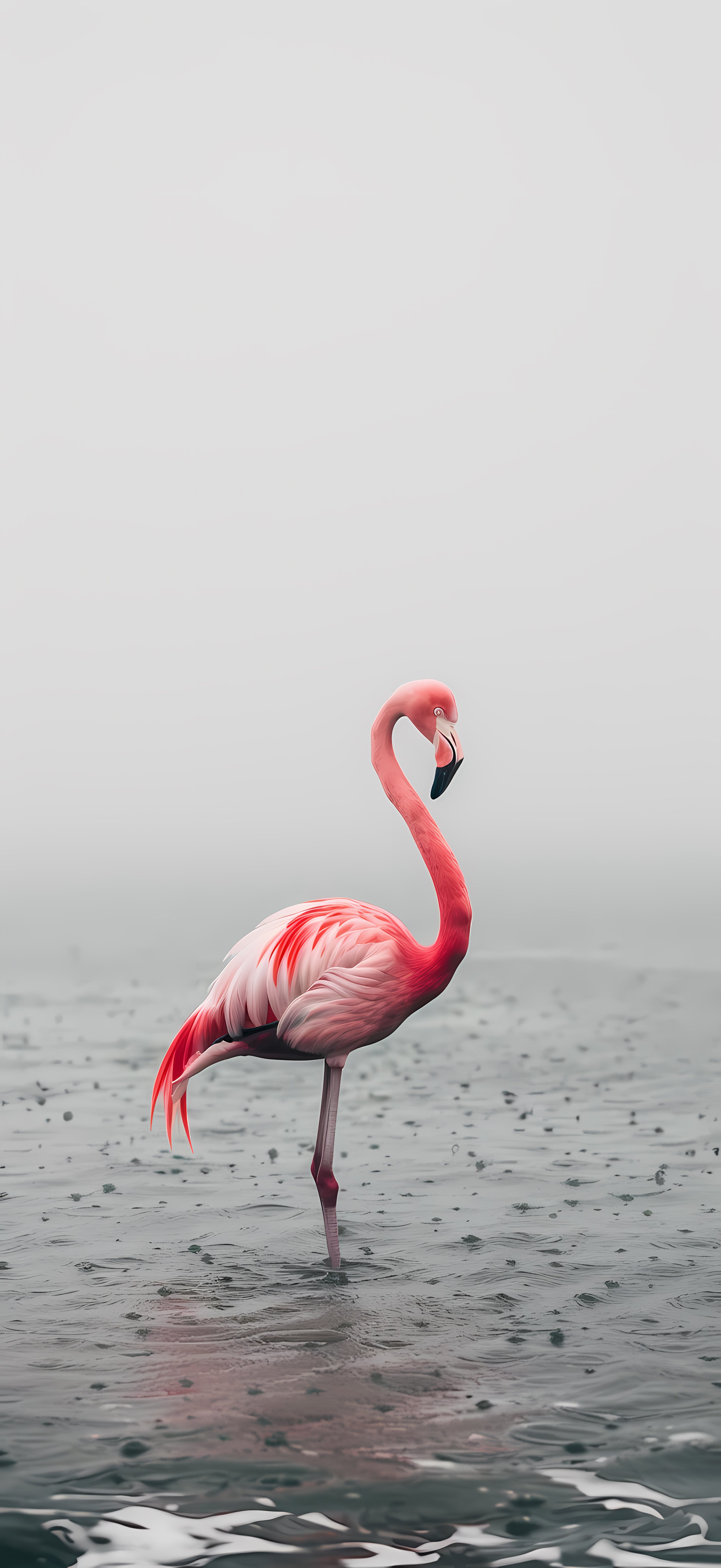 Minimalist Chic iPhone Wallpaper 4k HD - A girly and modern iPhone wallpaper with a solitary pastel pink flamingo against a clean, white canvas.