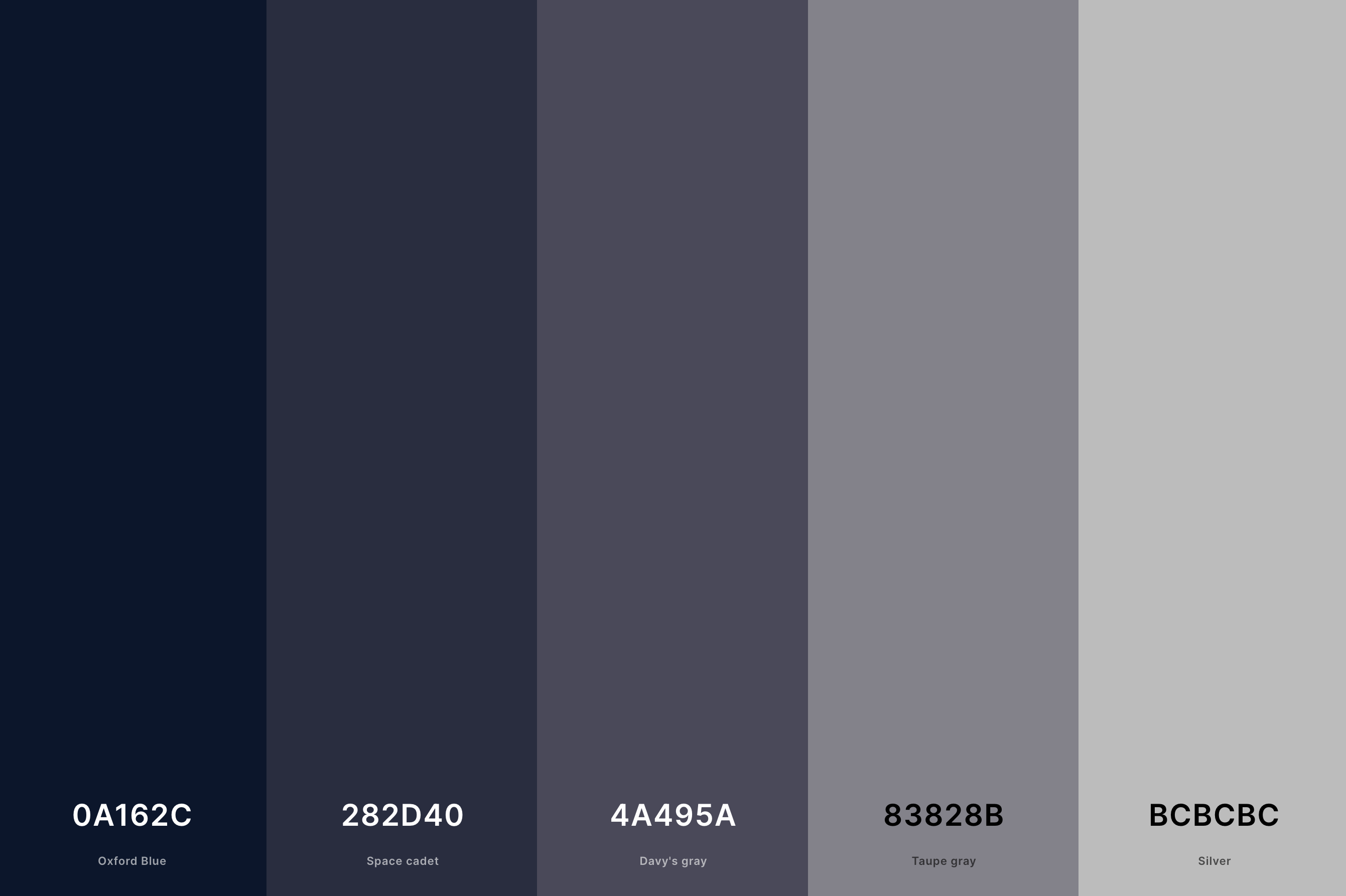 5. Aesthetic Dark Color Palette Color Palette with Oxford Blue (Hex #0A162C) + Space Cadet (Hex #282D40) + Davy'S Gray (Hex #4A495A) + Taupe Gray (Hex #83828B) + Silver (Hex #BCBCBC) Color Palette with Hex Codes