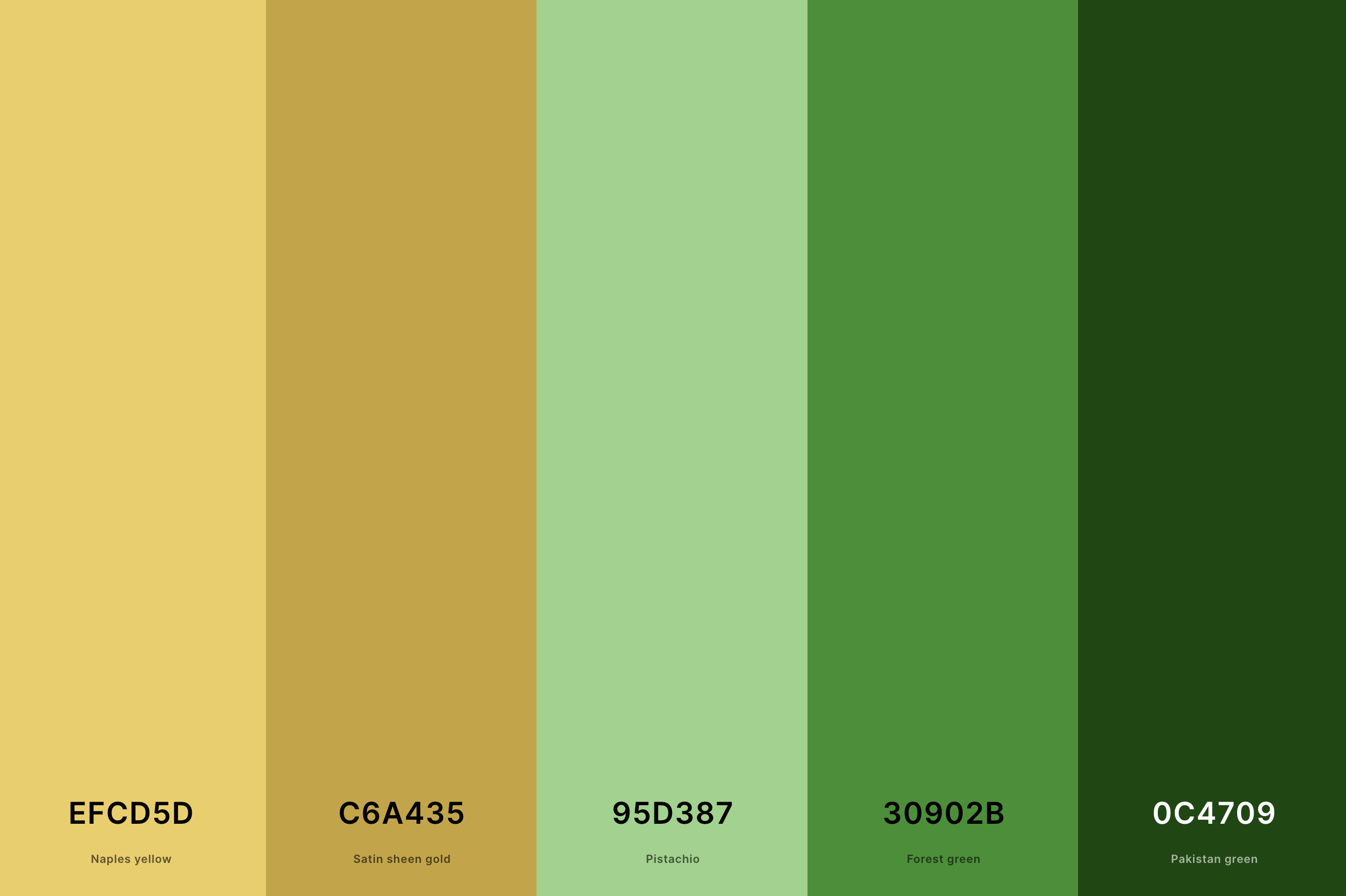 5. Green And Gold Color Palette Color Palette with Naples Yellow (Hex #EFCD5D) + Satin Sheen Gold (Hex #C6A435) + Pistachio (Hex #95D387) + Forest Green (Hex #30902B) + Pakistan Green (Hex #0C4709) Color Palette with Hex Codes