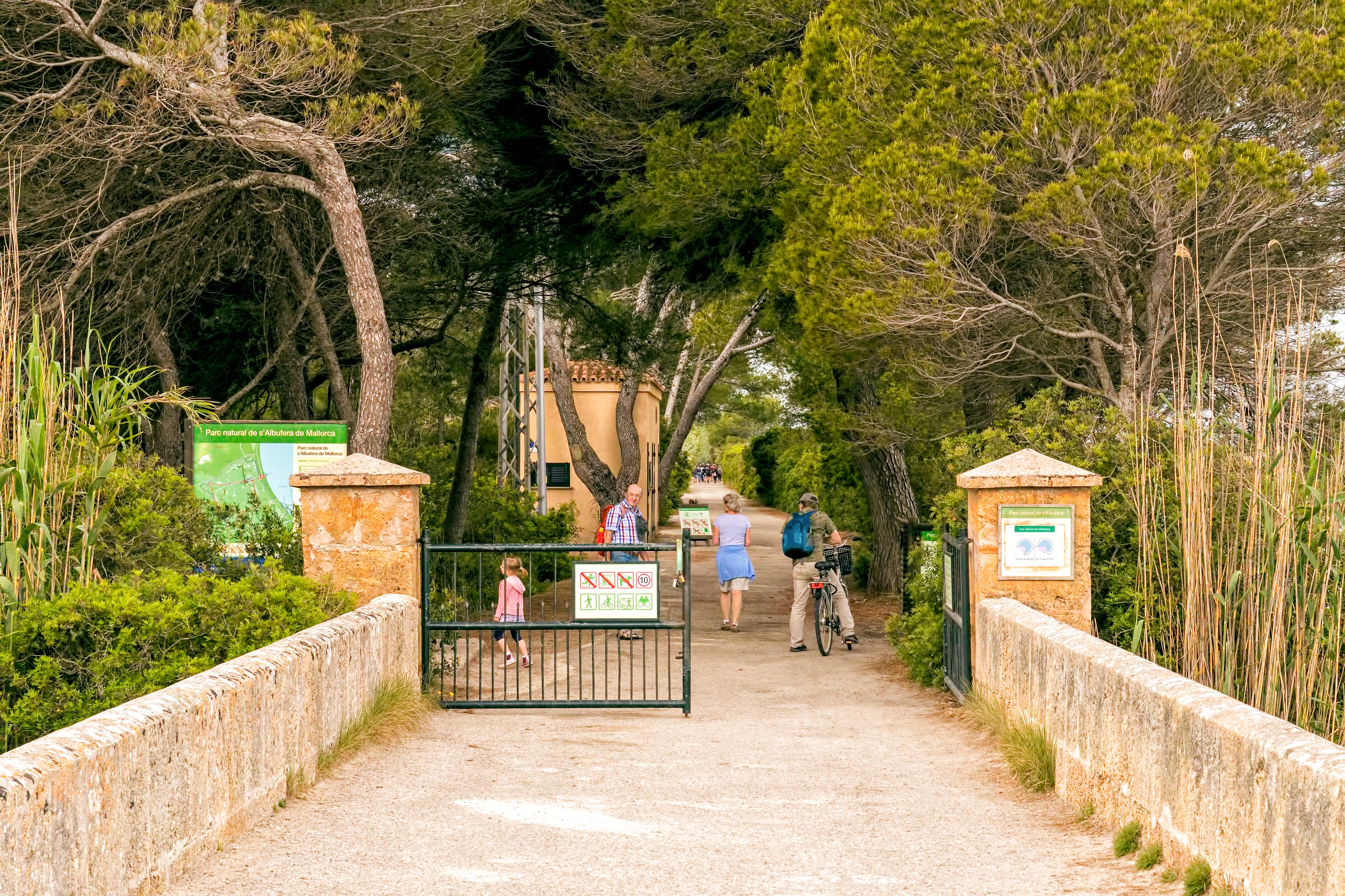5. Hike in the S’Albufera Natural Park - S`Albufera Natural Park, Mallorca.