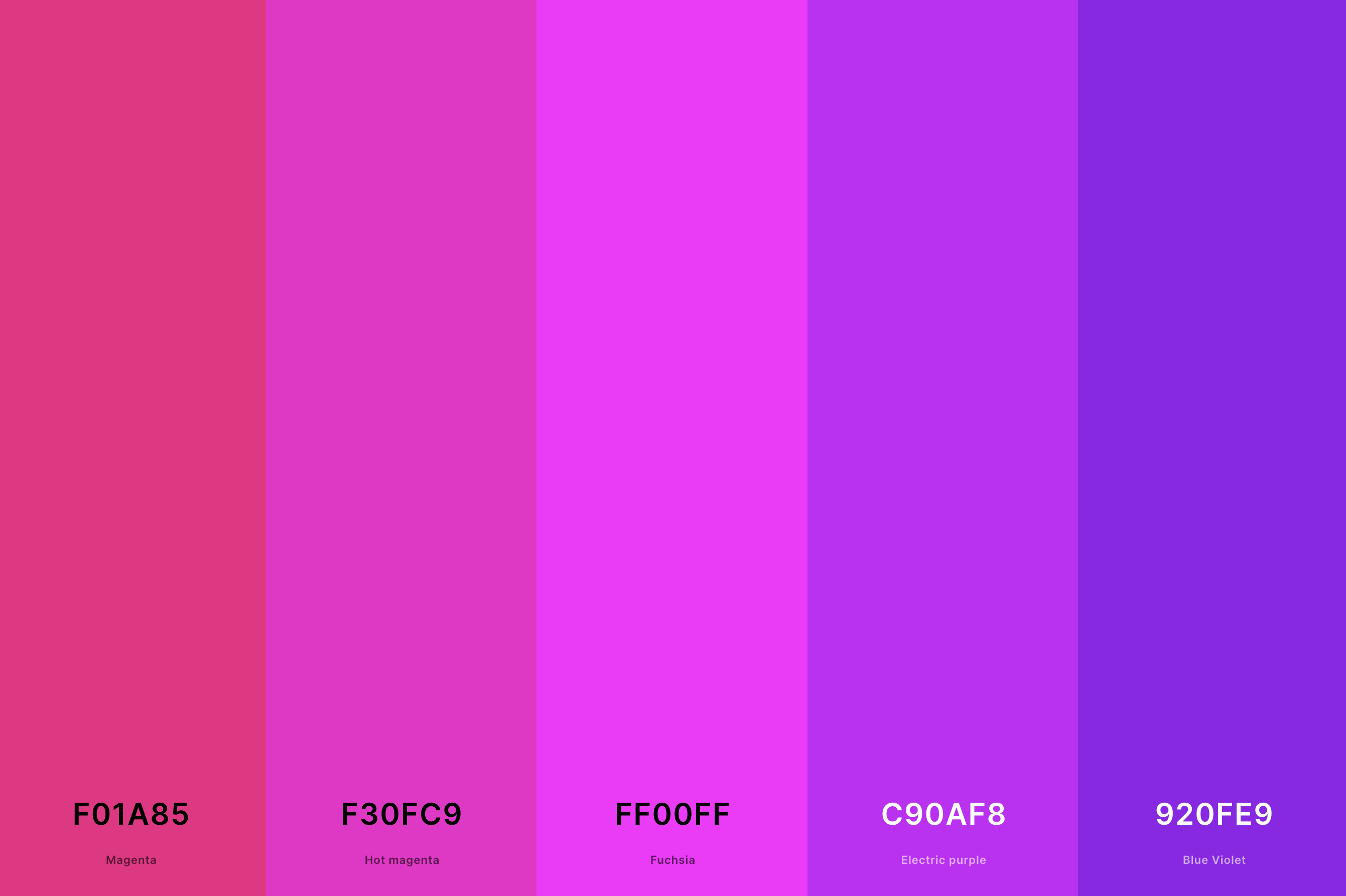 5. Magenta And Fuchsia Color Palettes Color Palette with Magenta (Hex #F01A85) + Hot Magenta (Hex #F30FC9) + Fuchsia (Hex #FF00FF) + Electric Purple (Hex #C90AF8) + Blue Violet (Hex #920FE9) Color Palette with Hex Codes