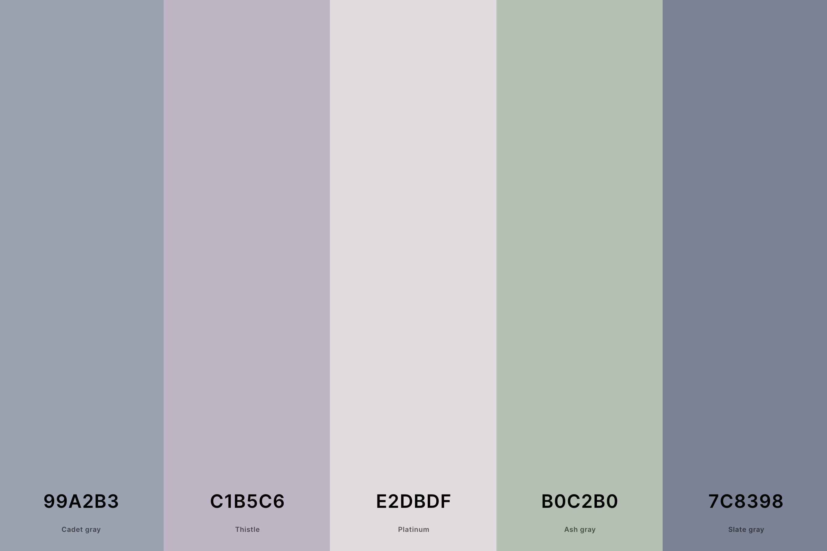 5. Neutral Pastel Color Palette Color Palette with Cadet Gray (Hex #99A2B3) + Thistle (Hex #C1B5C6) + Platinum (Hex #E2DBDF) + Ash Gray (Hex #B0C2B0) + Slate Gray (Hex #7C8398) Color Palette with Hex Codes