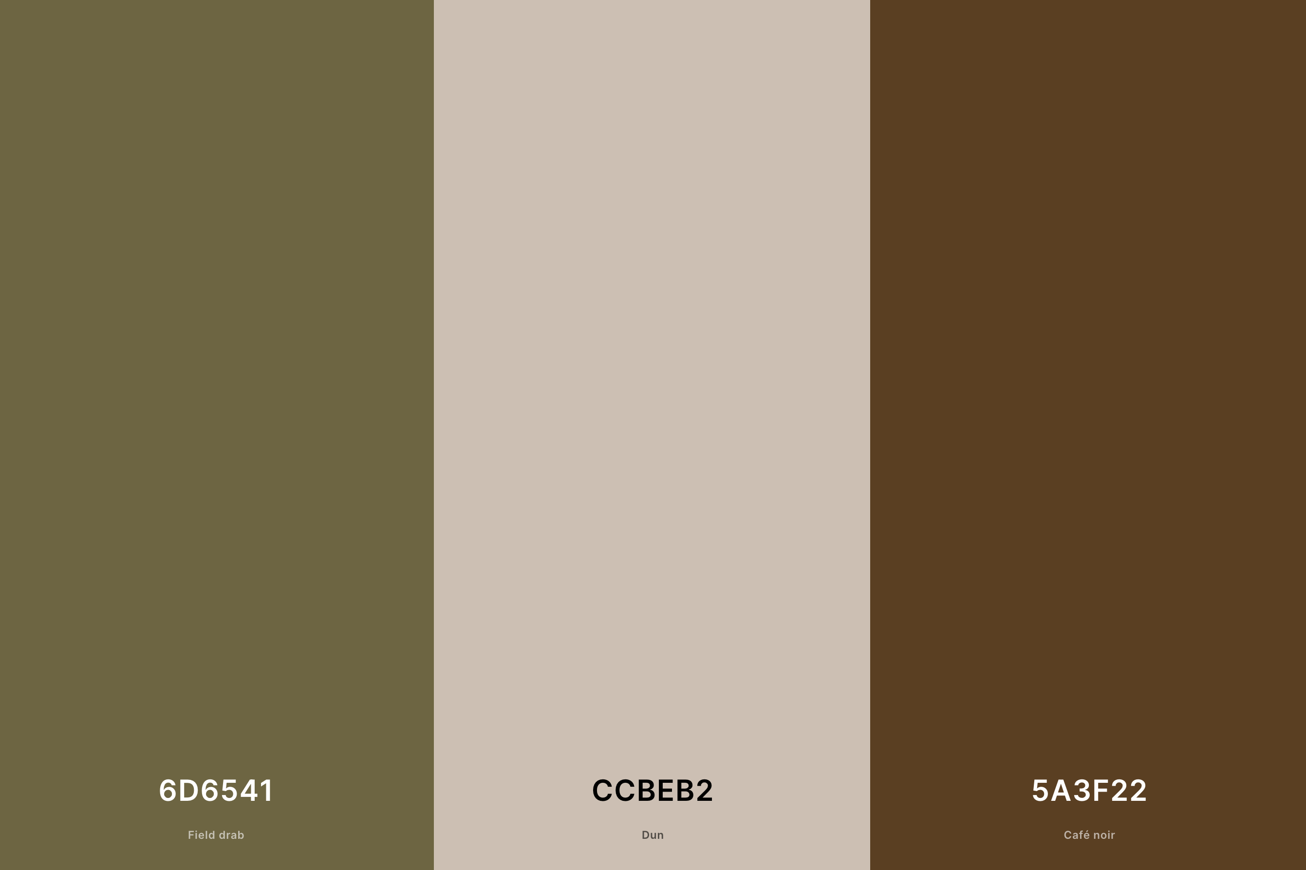 5. Olive Green and Neutral Beige Palette Color Palette with Field Drab (Hex #6D6541) + Dun (Hex #CCBEB2) + Café Noir (Hex #5A3F22) with Hex Codes