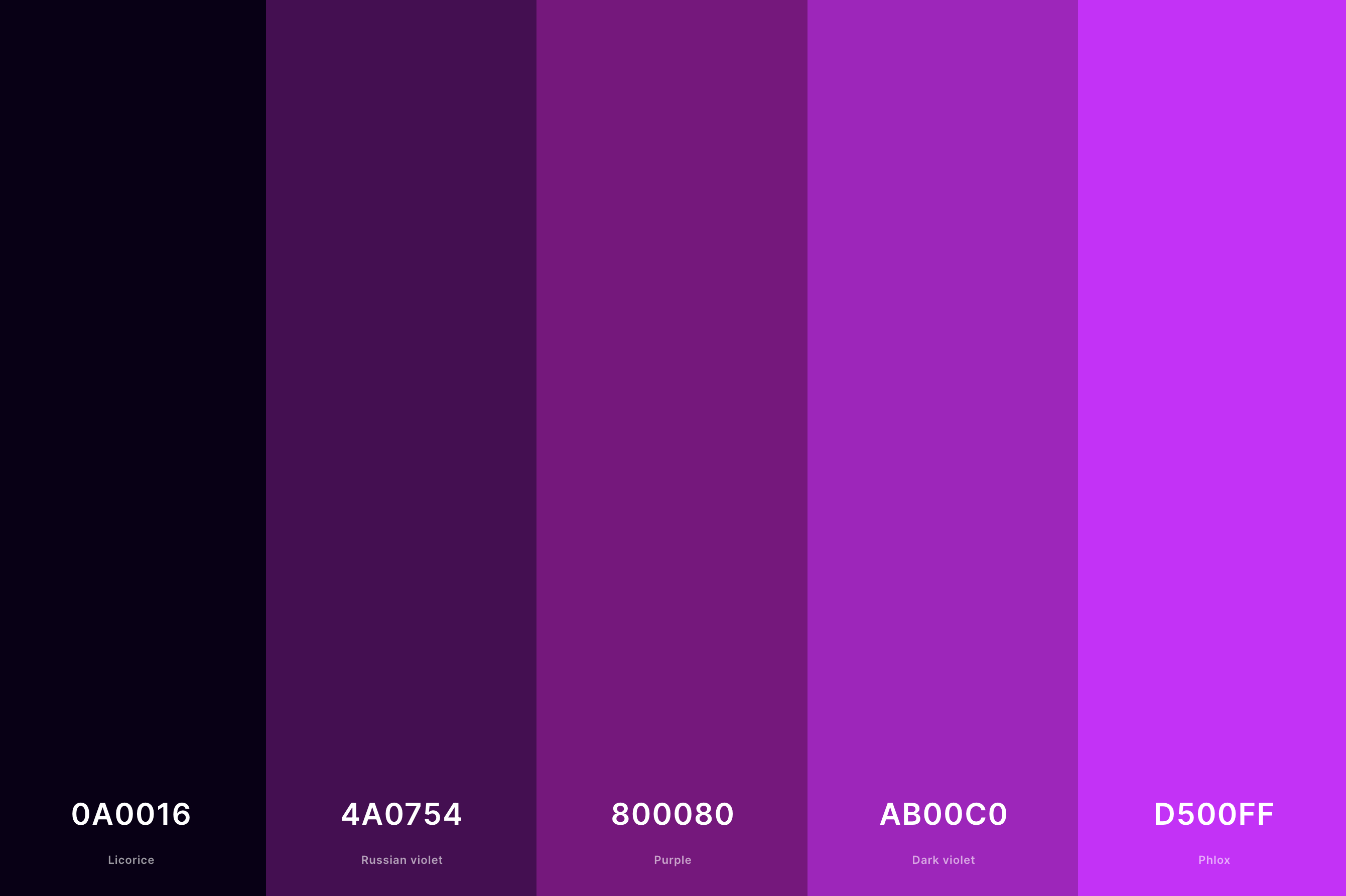 5. Purple And Black Color Palette Color Palette with Licorice (Hex #0A0016) + Russian Violet (Hex #4A0754) + Purple (Hex #800080) + Dark Violet (Hex #AB00C0) + Phlox (Hex #D500FF) Color Palette with Hex Codes