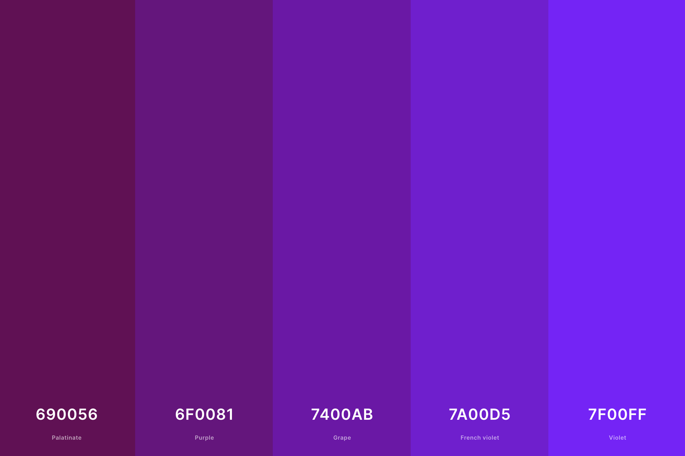 5. Shades Of Violet Color Palette Color Palette with Palatinate (Hex #690056) + Purple (Hex #6F0081) + Grape (Hex #7400AB) + French Violet (Hex #7A00D5) + Violet (Hex #7F00FF) Color Palette with Hex Codes