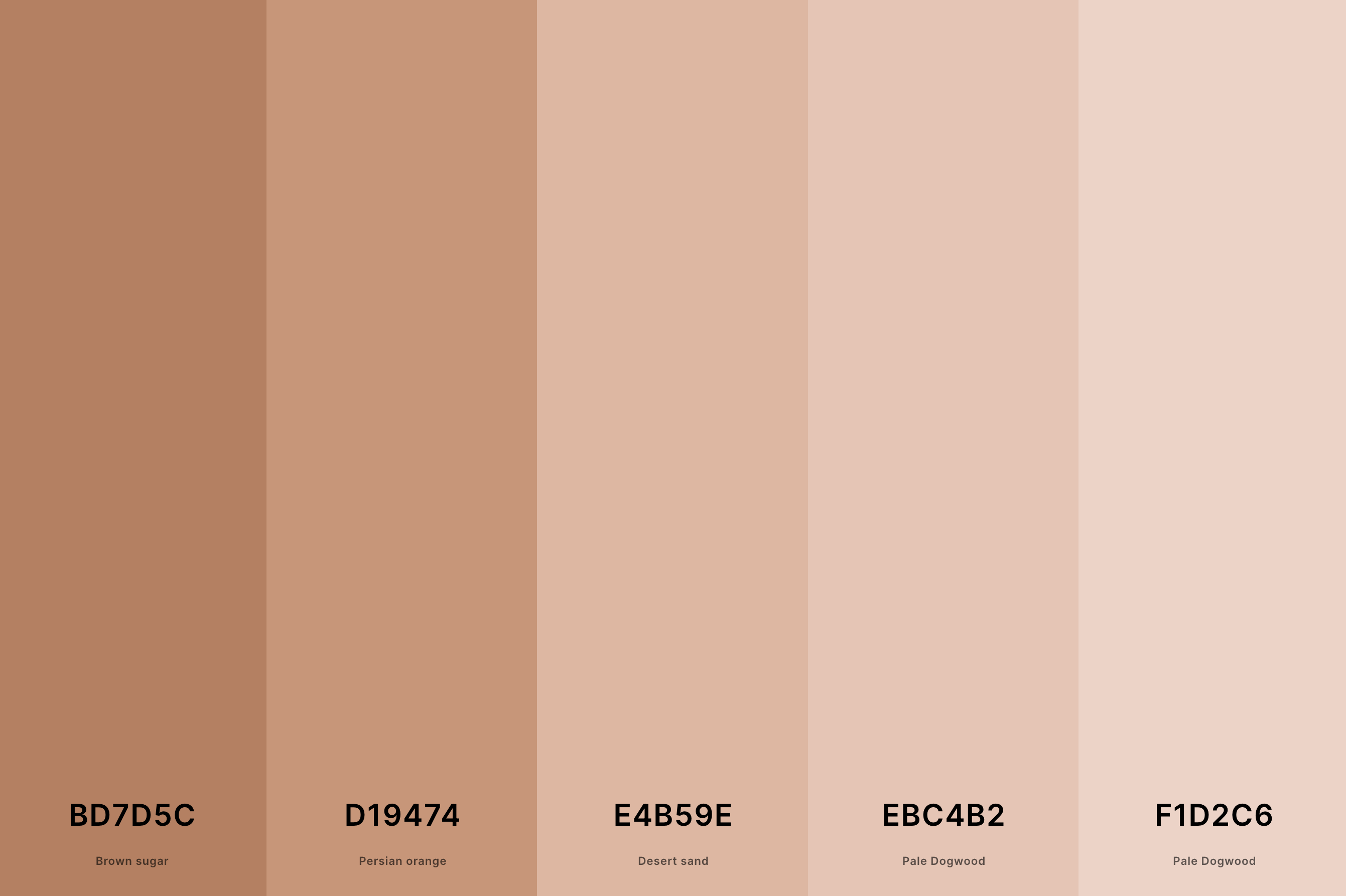 6. Neutral Skin Tone Color Palette Color Palette with Brown Sugar (Hex #BD7D5C) + Persian Orange (Hex #D19474) + Desert Sand (Hex #E4B59E) + Pale Dogwood (Hex #EBC4B2) + Pale Dogwood (Hex #F1D2C6) Color Palette with Hex Codes