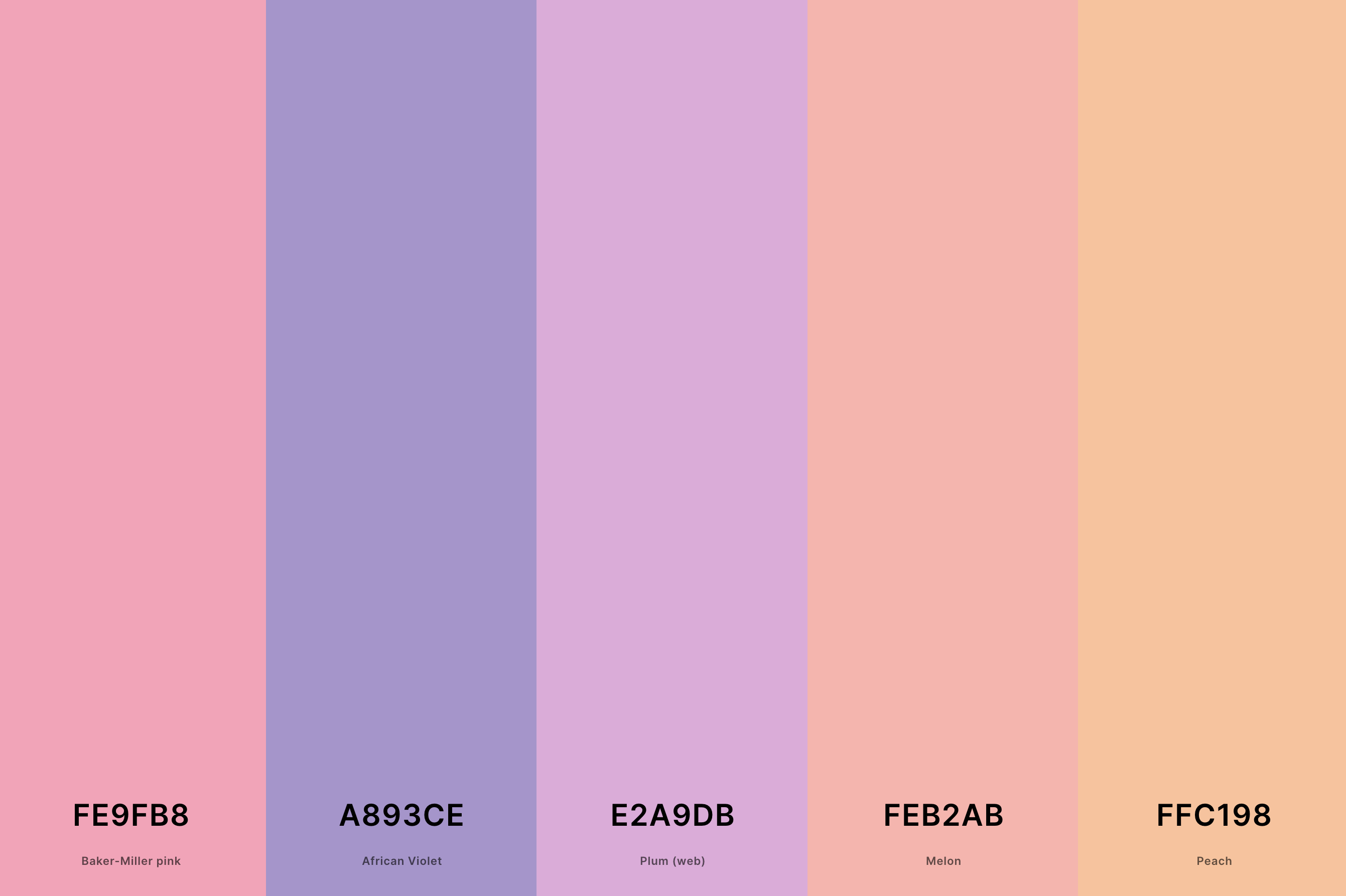6. Pastel Sunset Color Palette Color Palette with Baker-Miller Pink (Hex #FE9FB8) + African Violet (Hex #A893CE) + Plum (Web) (Hex #E2A9DB) + Melon (Hex #FEB2AB) + Peach (Hex #FFC198) Color Palette with Hex Codes