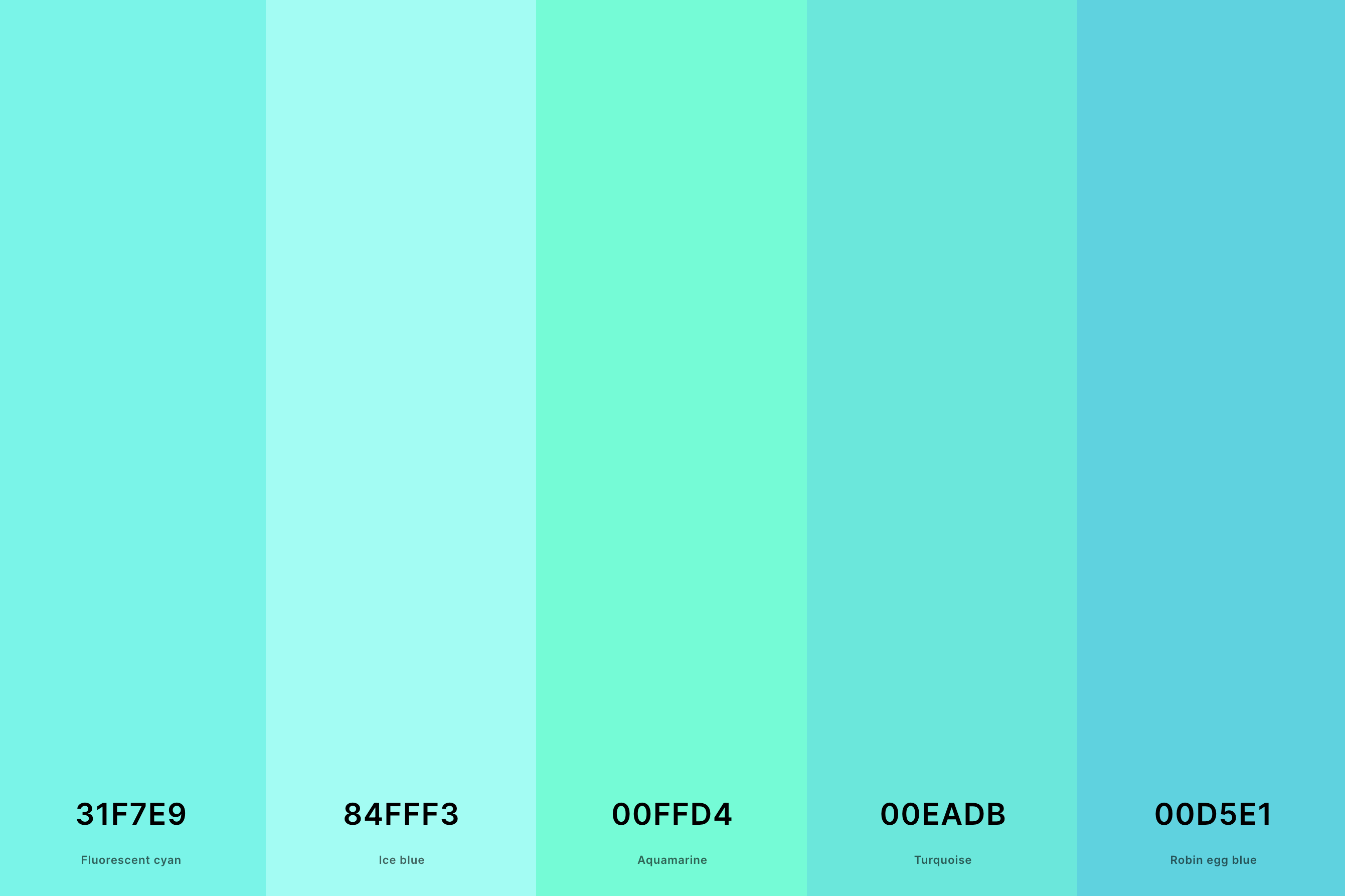8. Bright Turquoise Color Palette Color Palette with Fluorescent Cyan (Hex #31F7E9) + Ice Blue (Hex #84FFF3) + Aquamarine (Hex #00FFD4) + Turquoise (Hex #00EADB) + Robin Egg Blue (Hex #00D5E1) Color Palette with Hex Codes