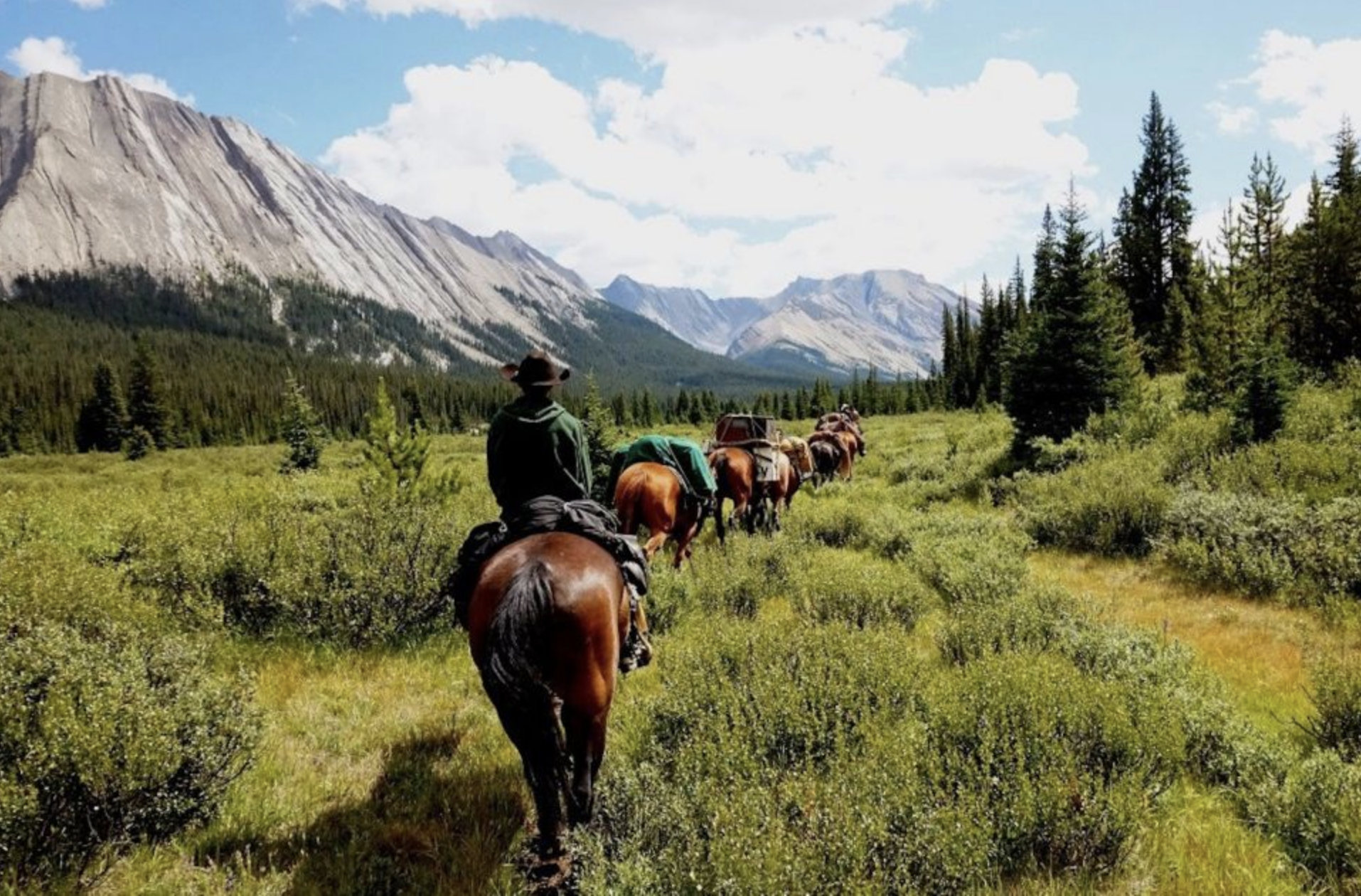 8. Canadian Rockies Combo Helicopter Tour and Horseback Ride