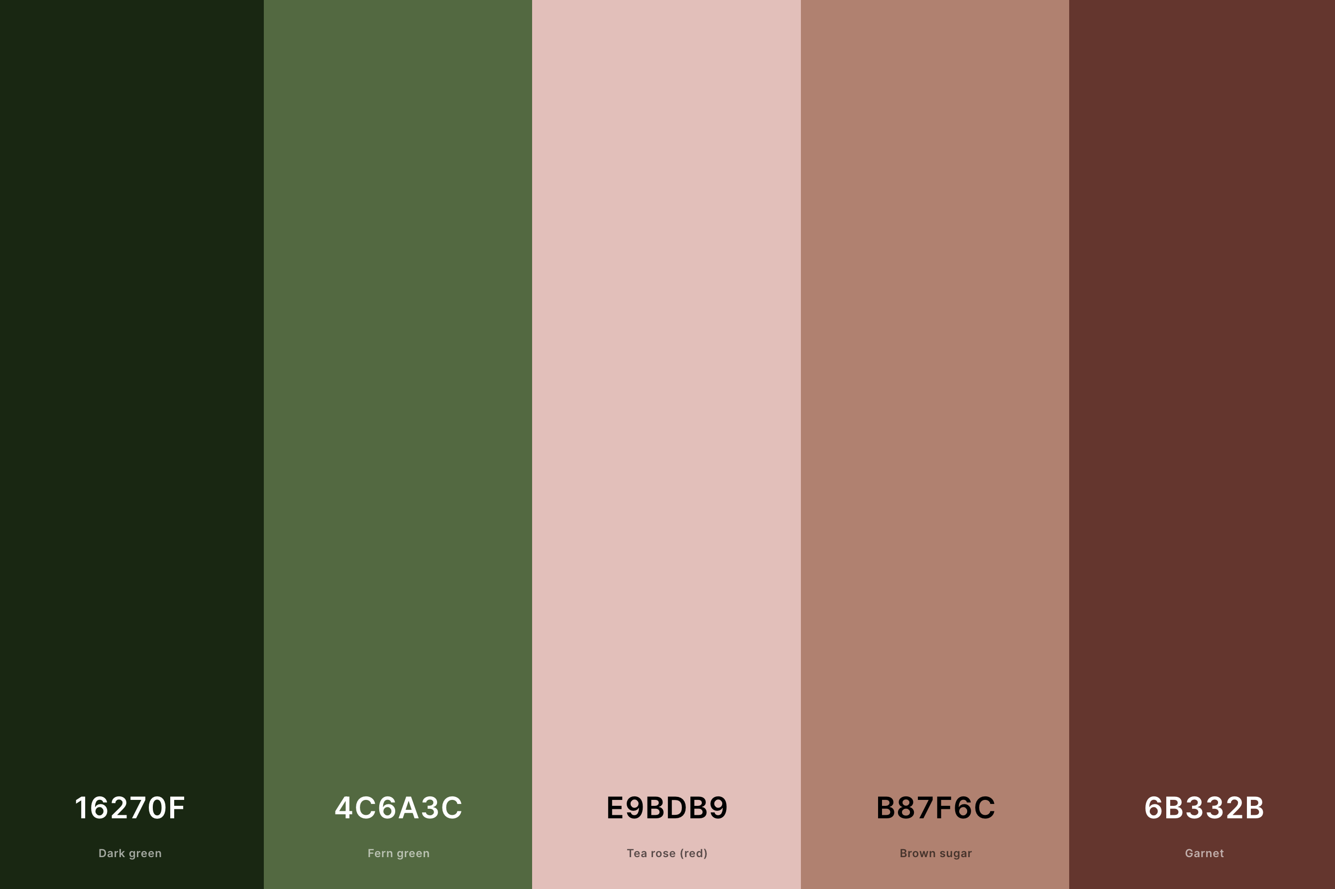 8. Dark Green And Terracotta Color Palette Color Palette with Dark Green (Hex #16270F) + Fern Green (Hex #4C6A3C) + Tea Rose (Red) (Hex #E9BDB9) + Brown Sugar (Hex #B87F6C) + Garnet (Hex #6B332B) Color Palette with Hex Codes