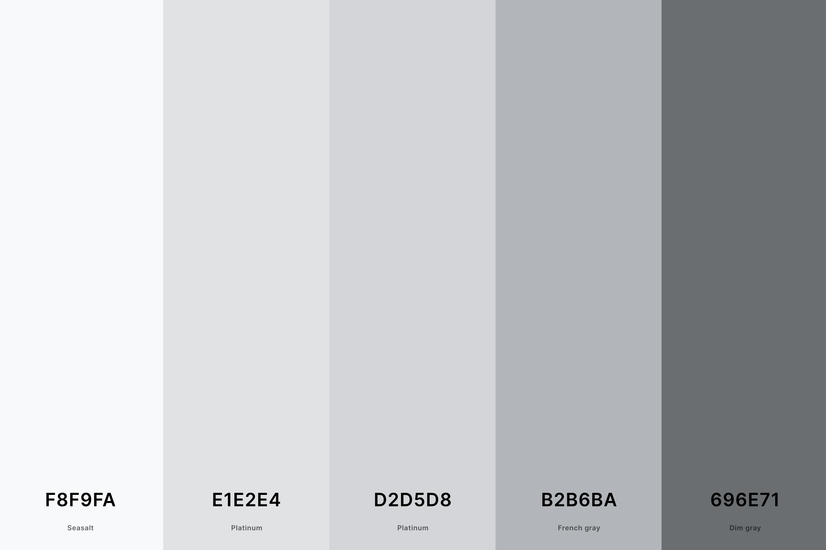 25+ Best Gray Color Palettes with Names and Hex Codes – CreativeBooster